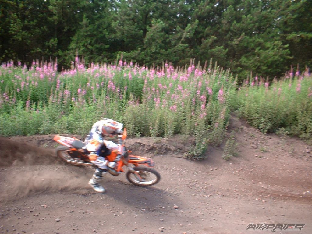 Photo 1005044