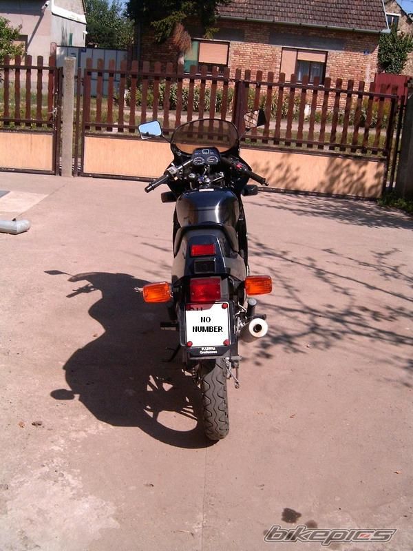 Photo 1005063