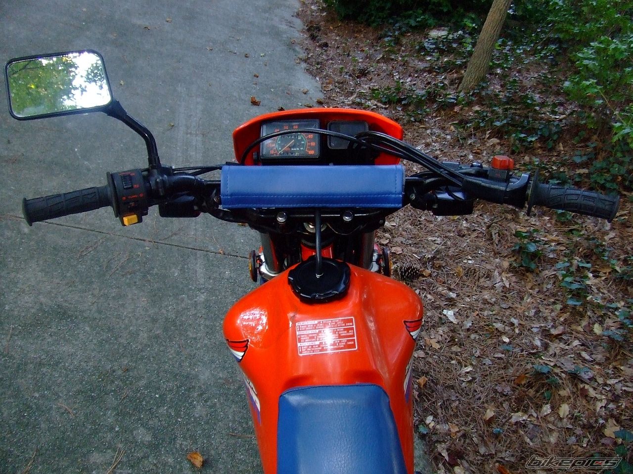 Photo 1005066