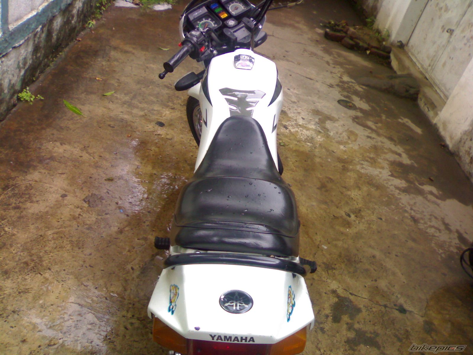 Photo 1005073