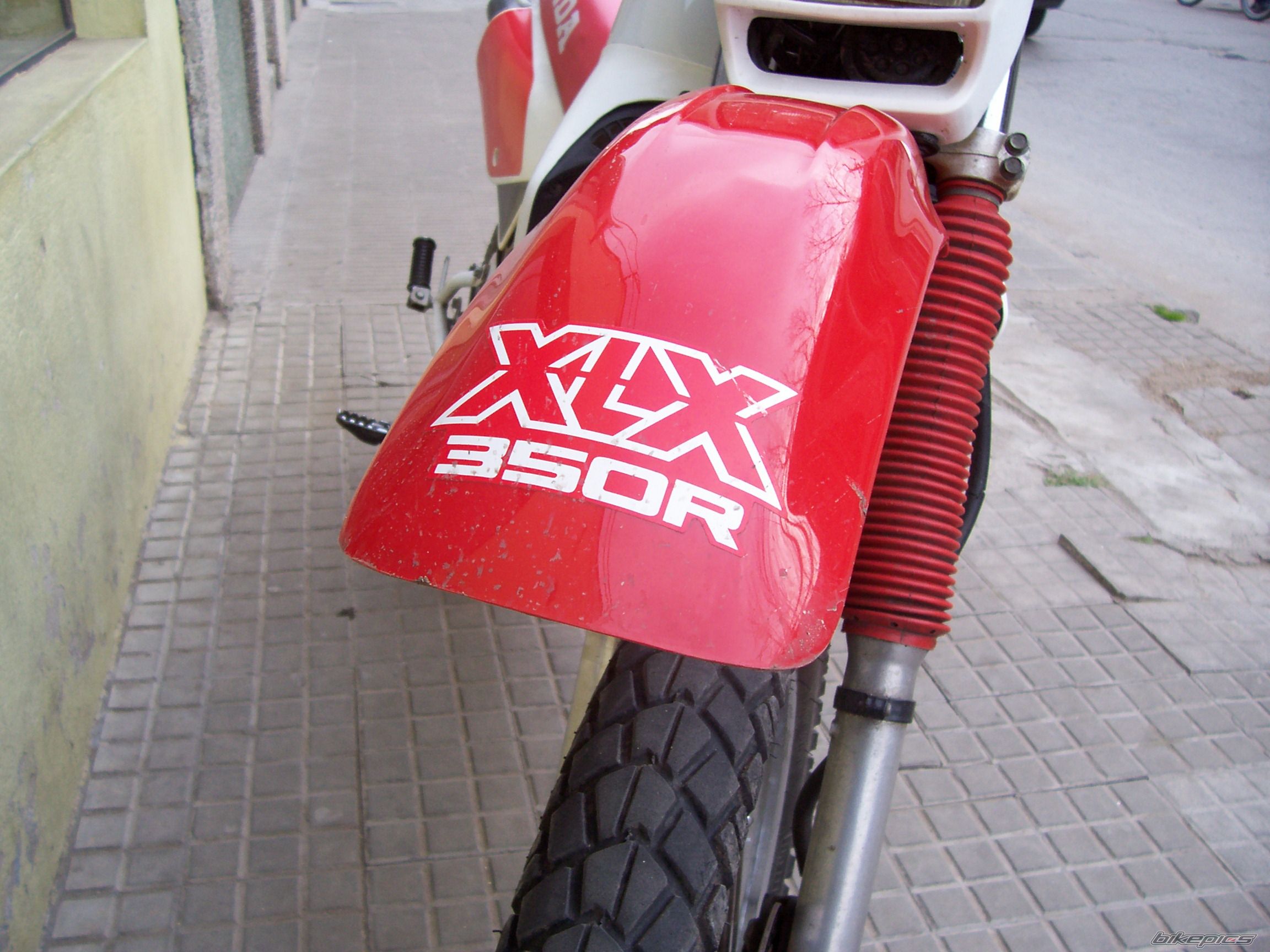 Photo 1005102