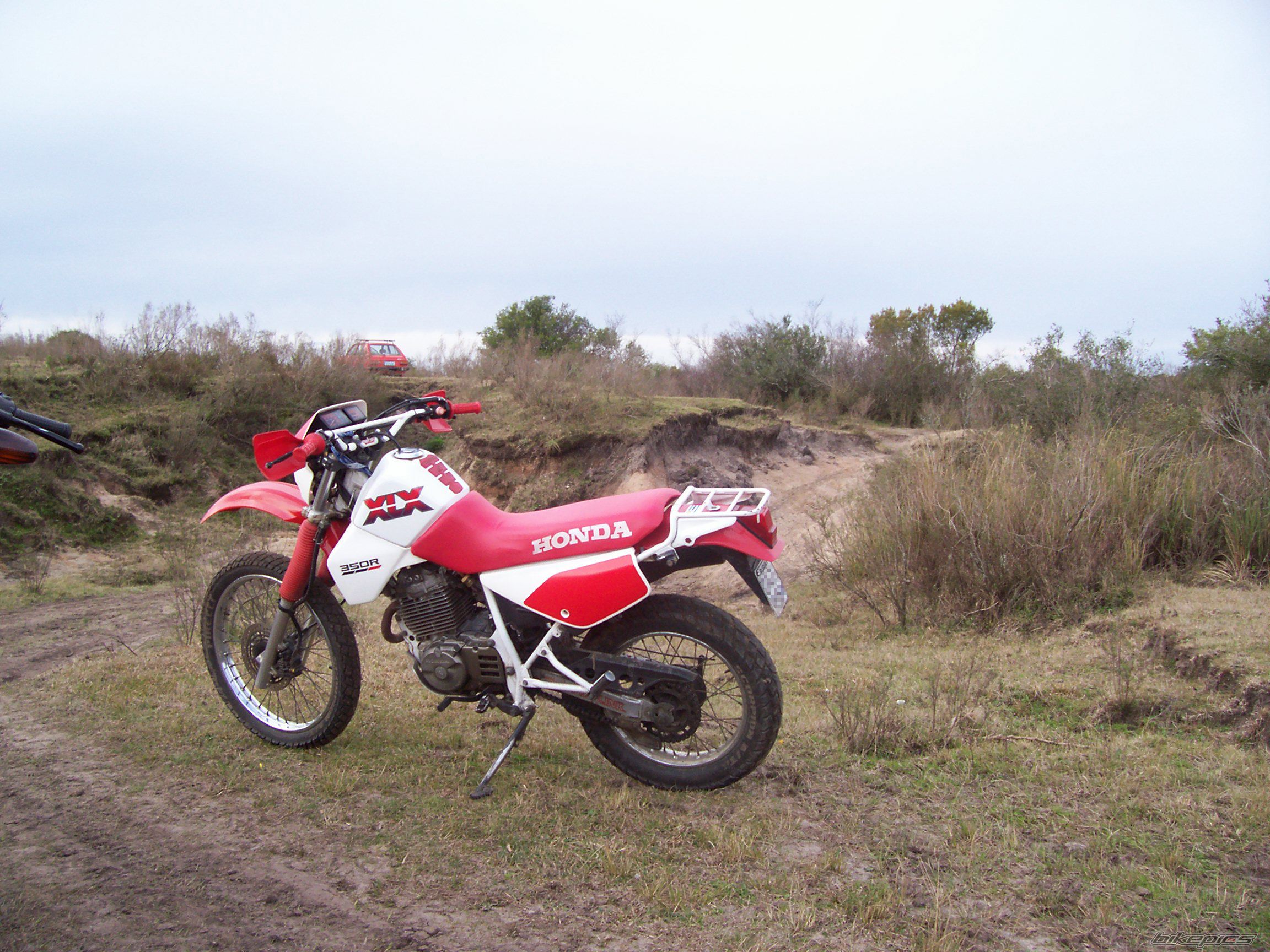 Photo 1005159