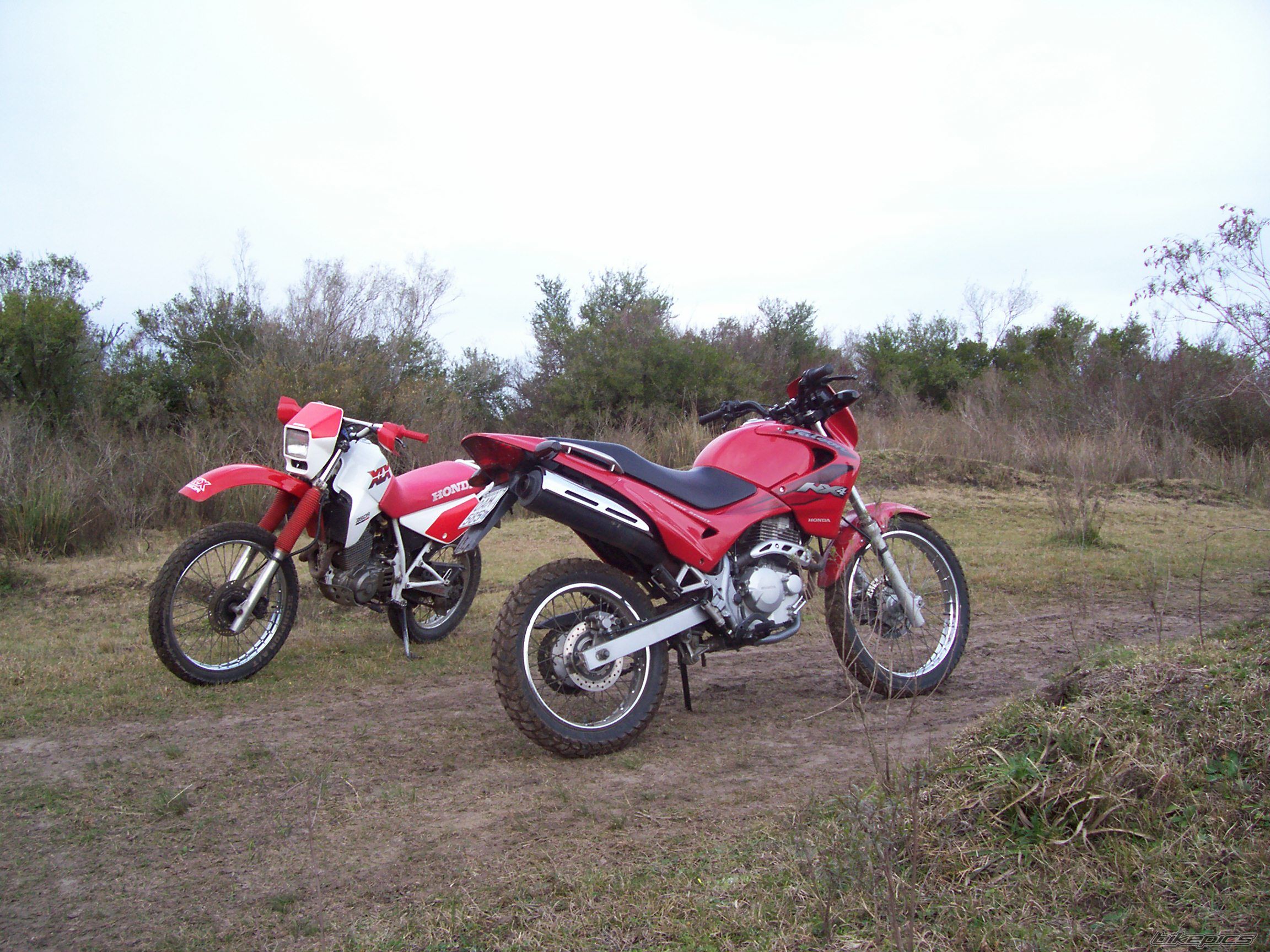 Photo 1005165