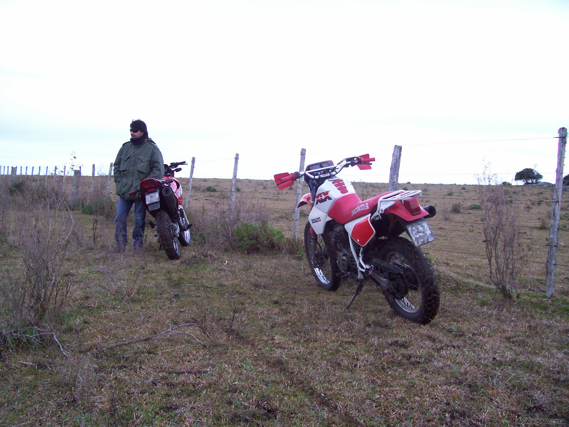 Photo 1005175
