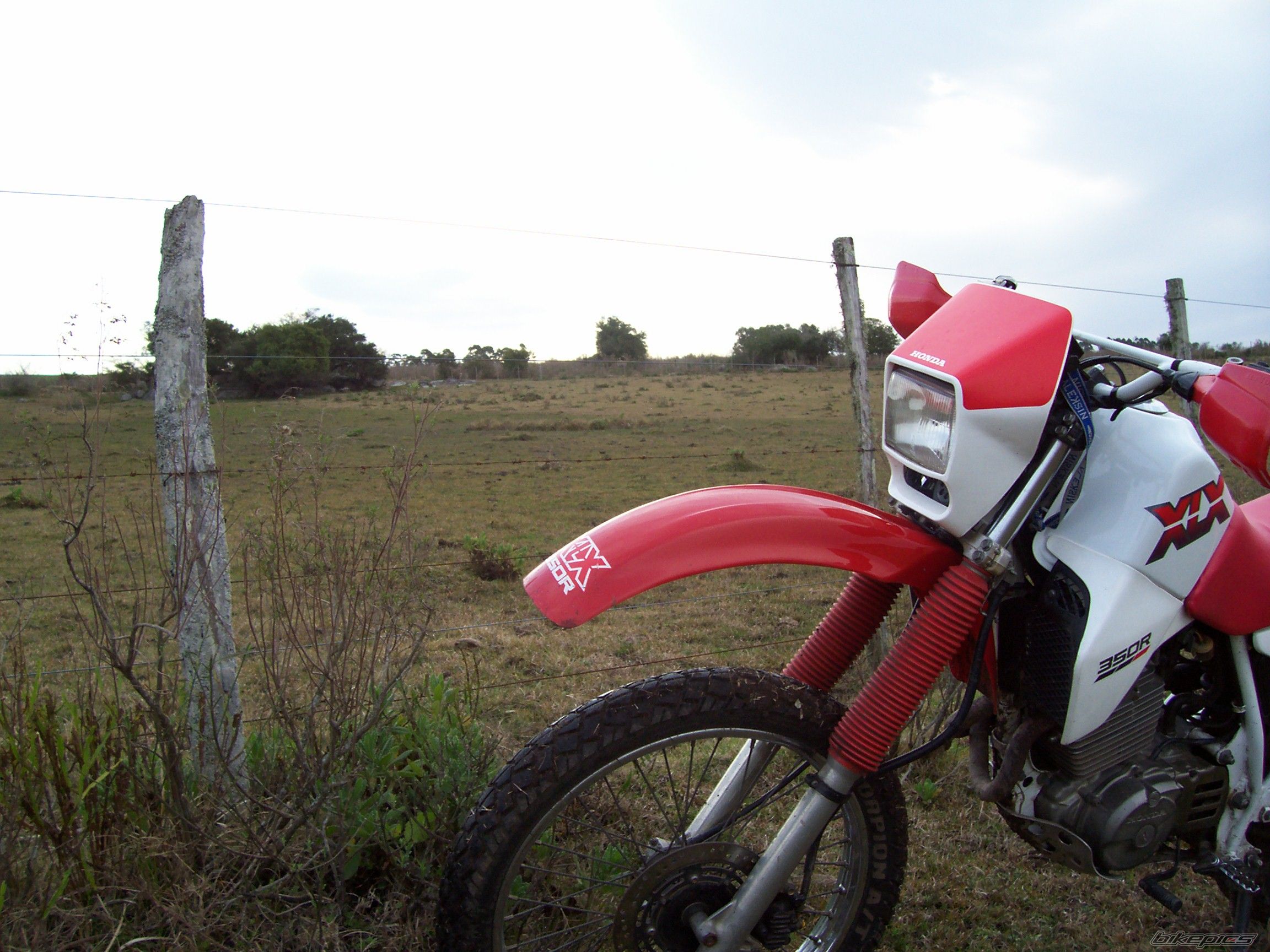 Photo 1005182