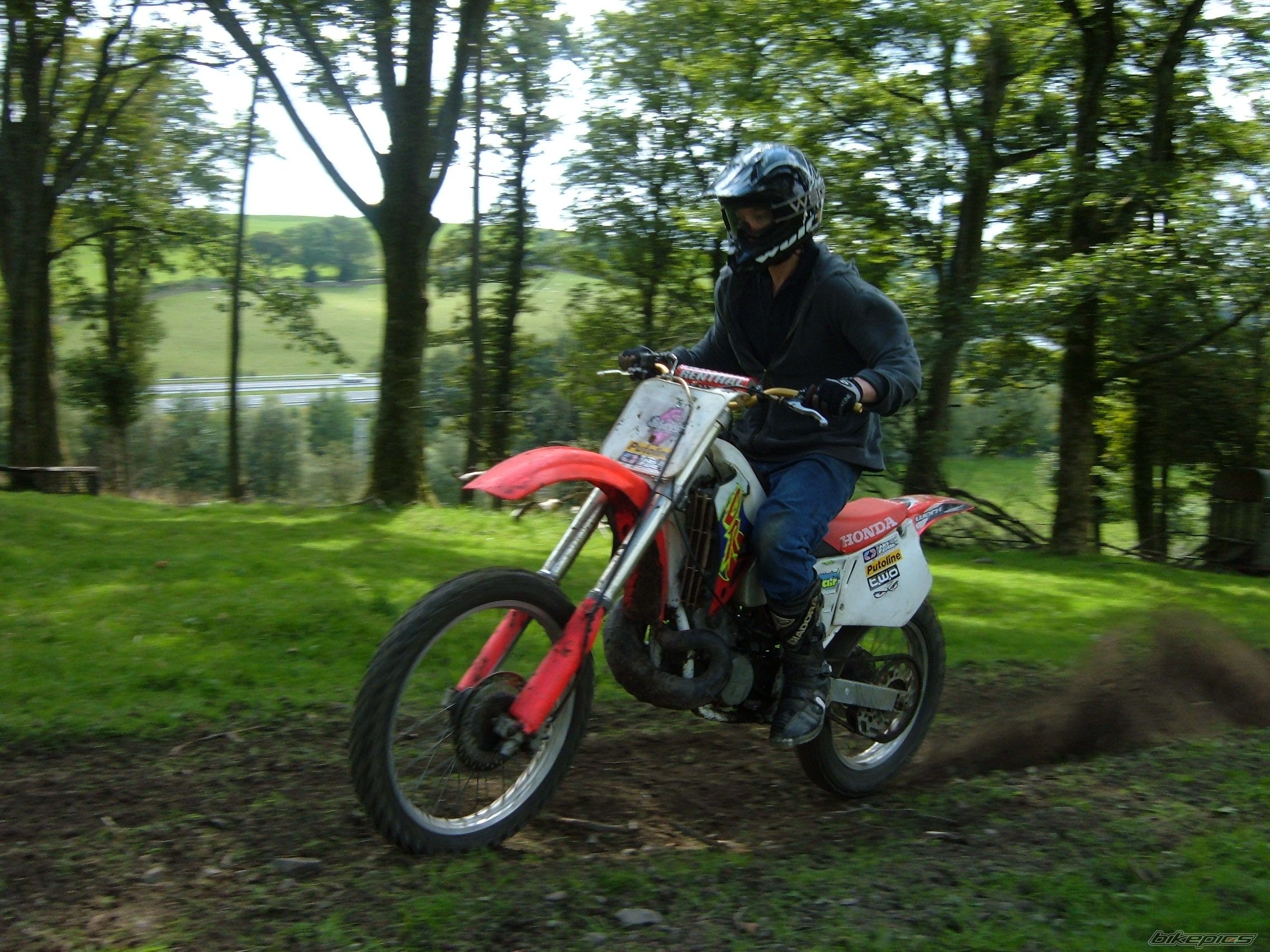 Photo 1005239