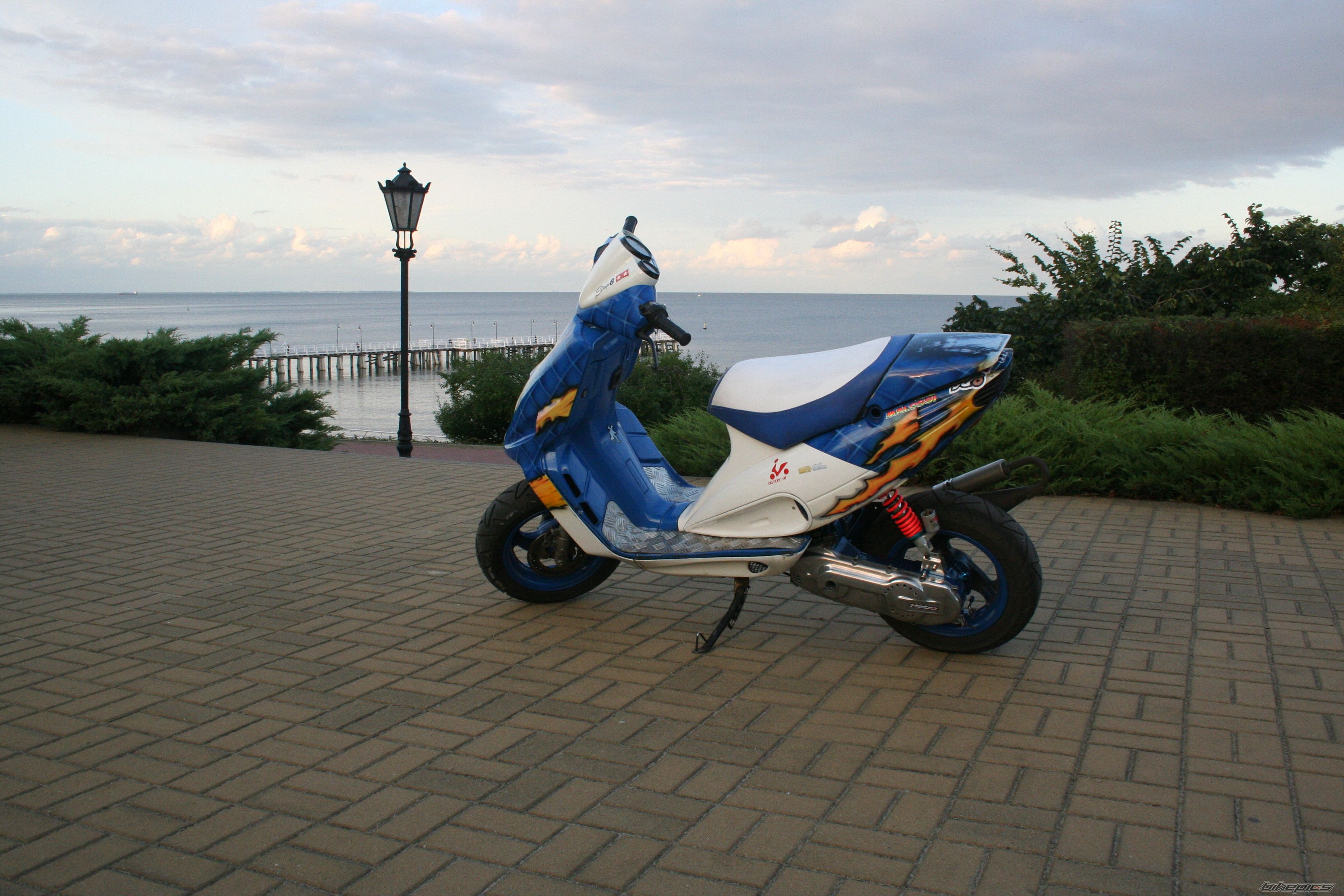 Photo 1005307