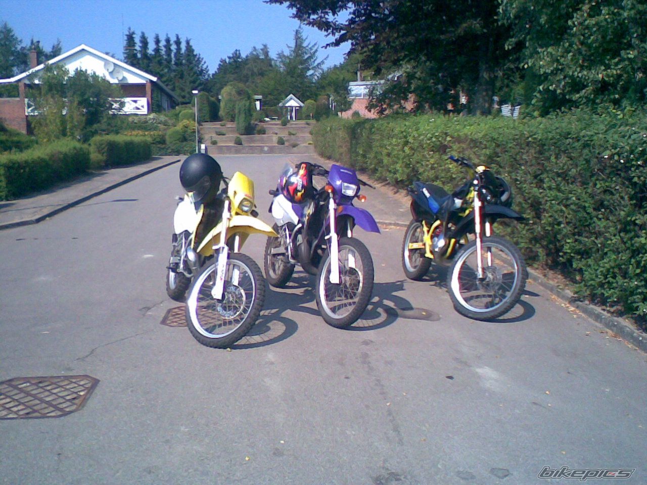 Photo 1005323