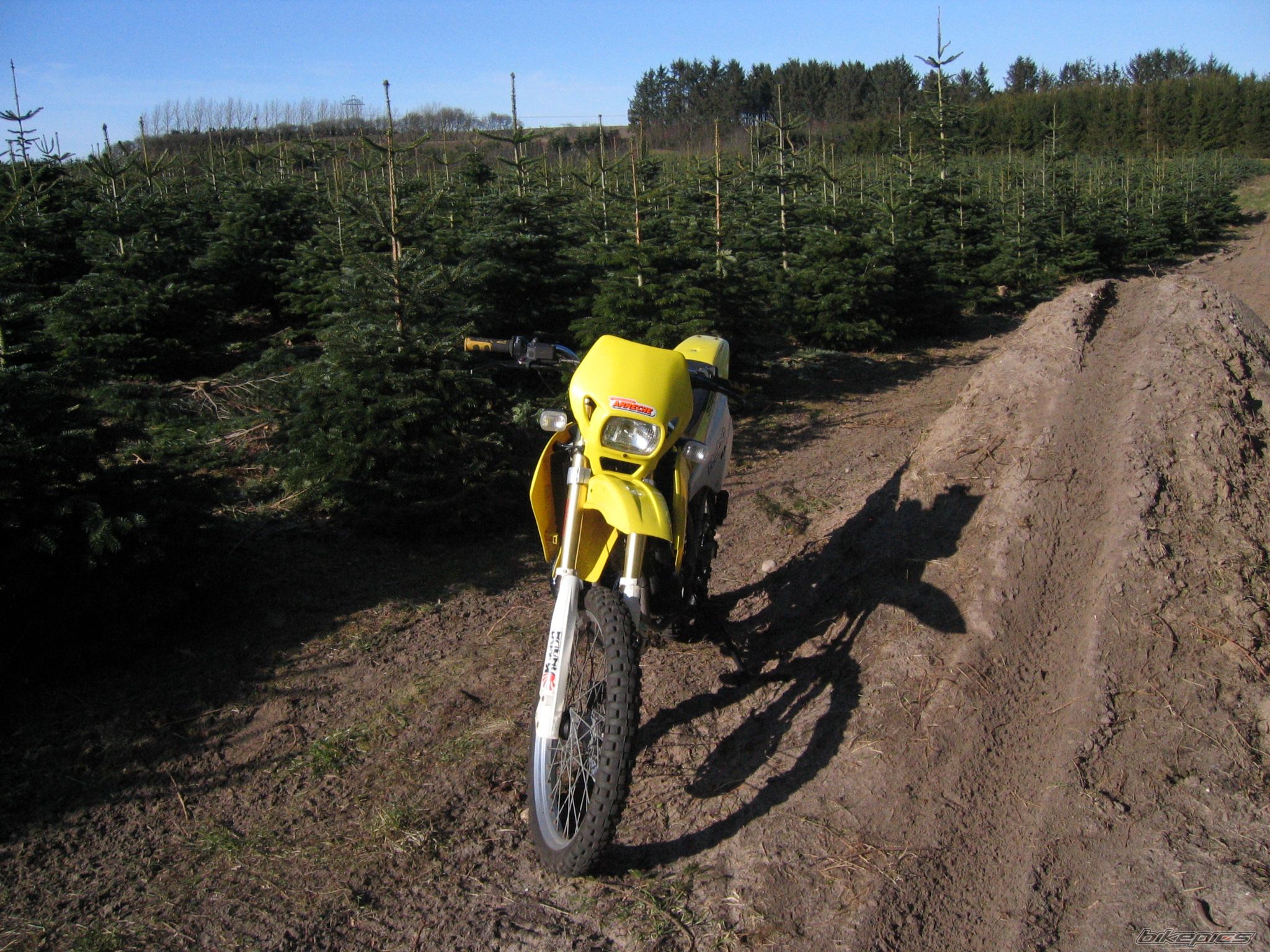 Bike Photo 1005331