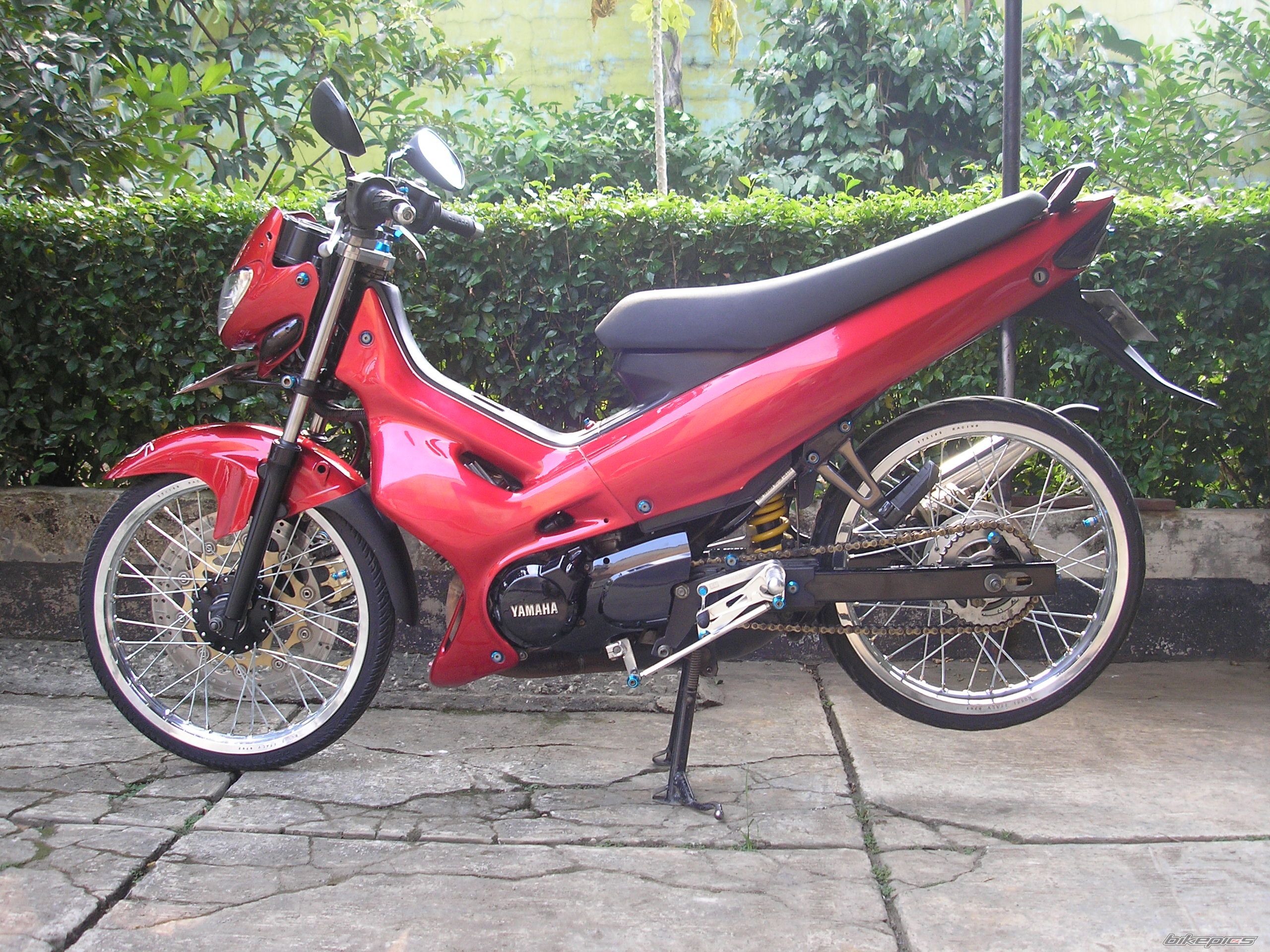 Photo 1005382