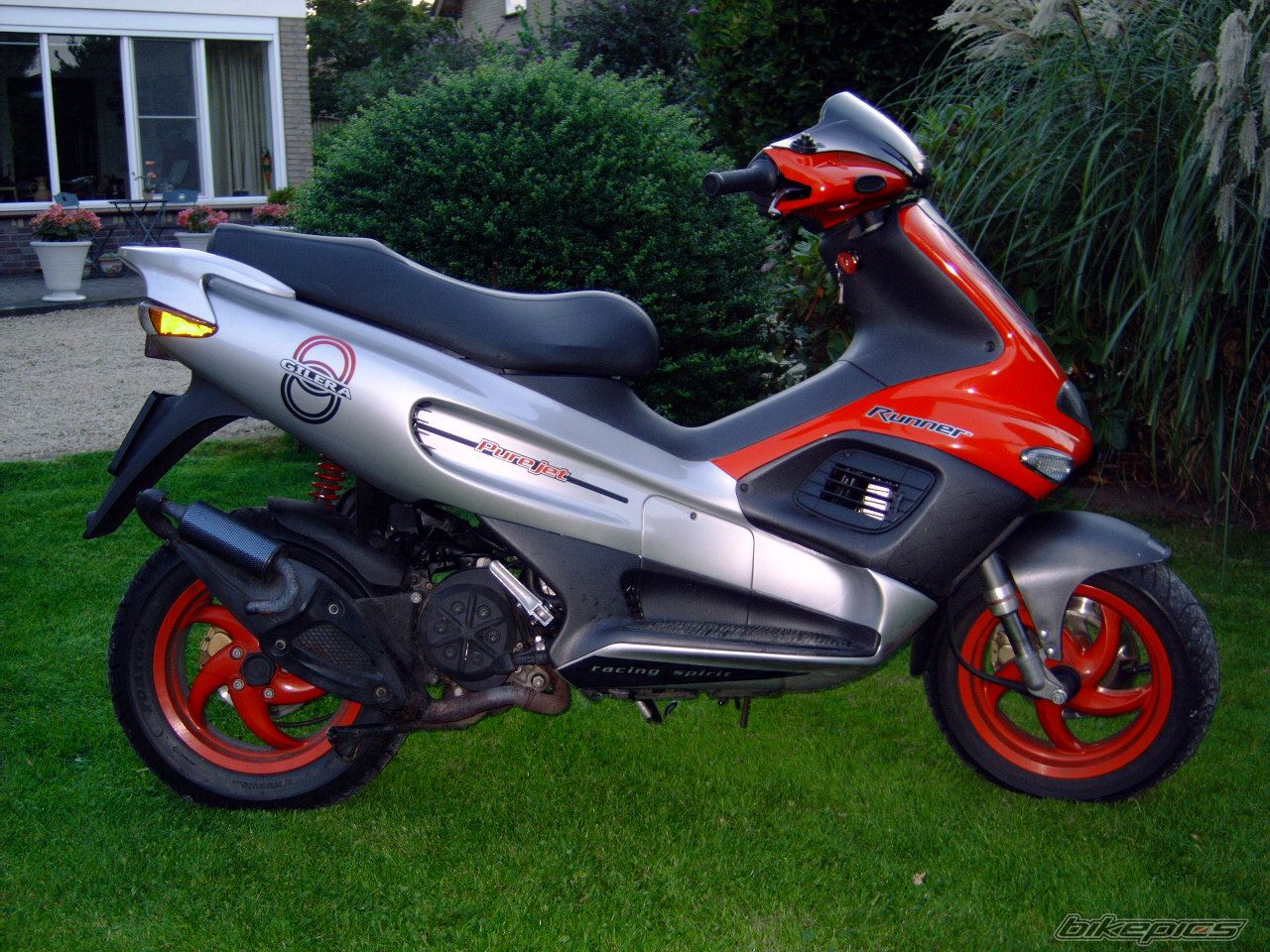 Photo 1005392