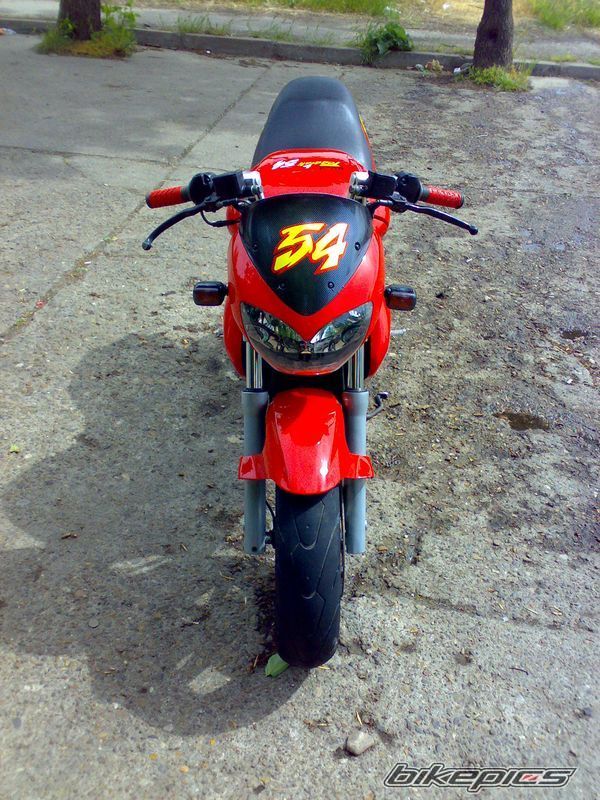 Photo 1005425