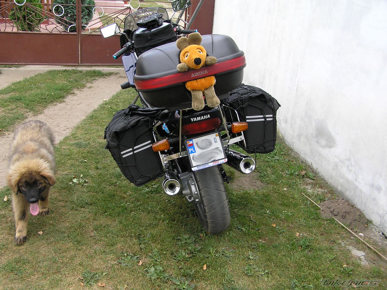 Photo 1005436