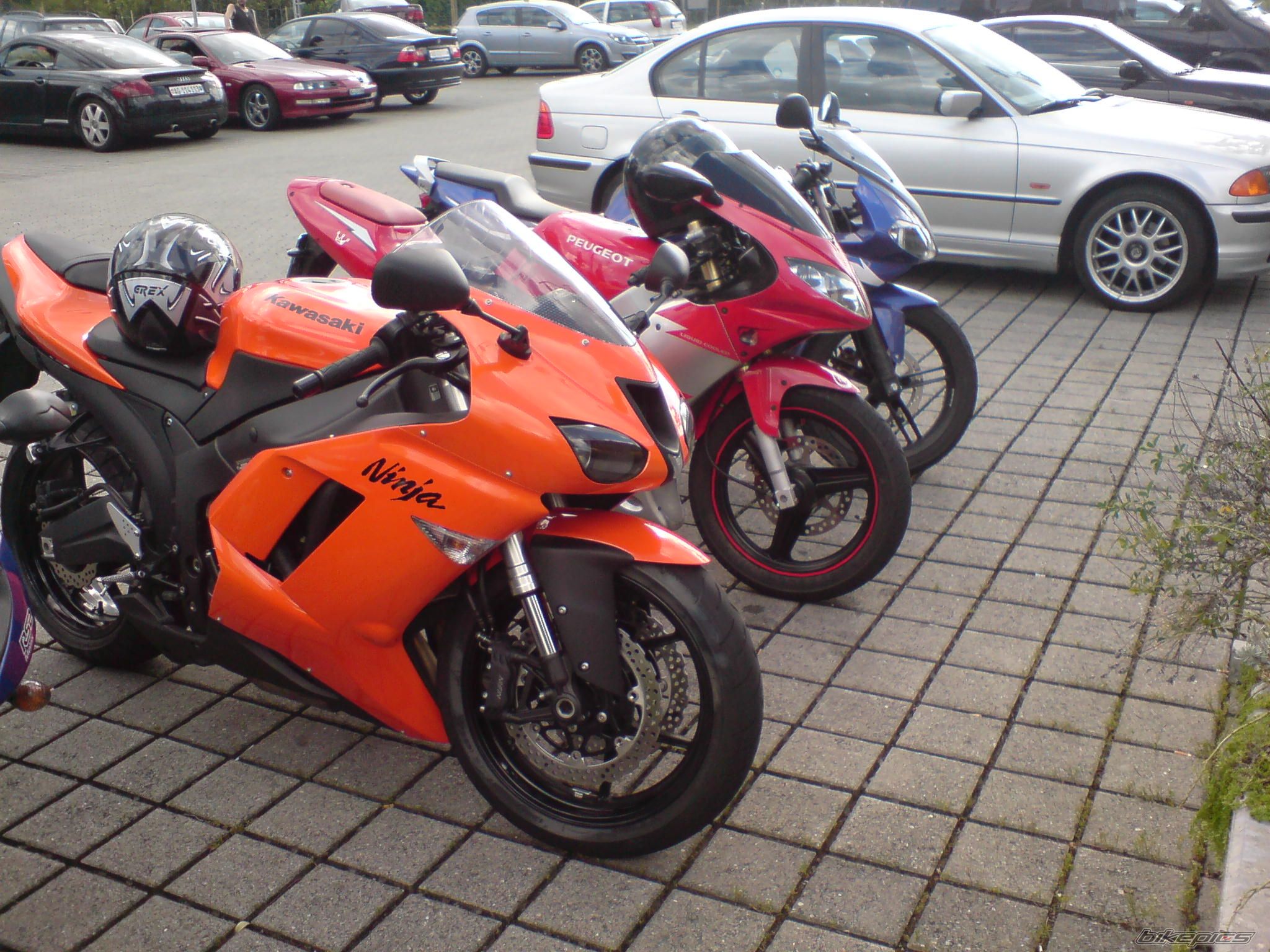 Photo 1005484