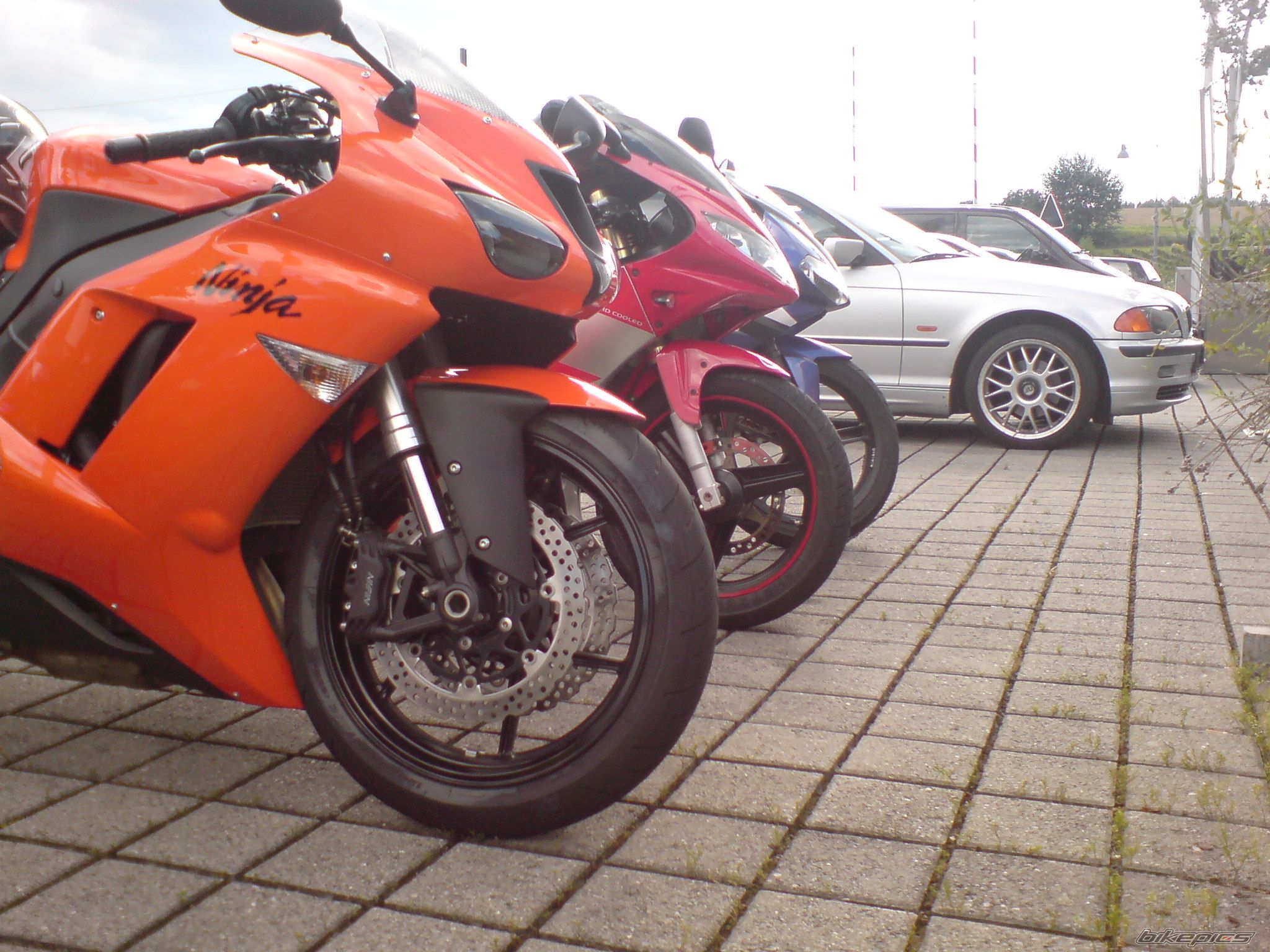 Photo 1005487