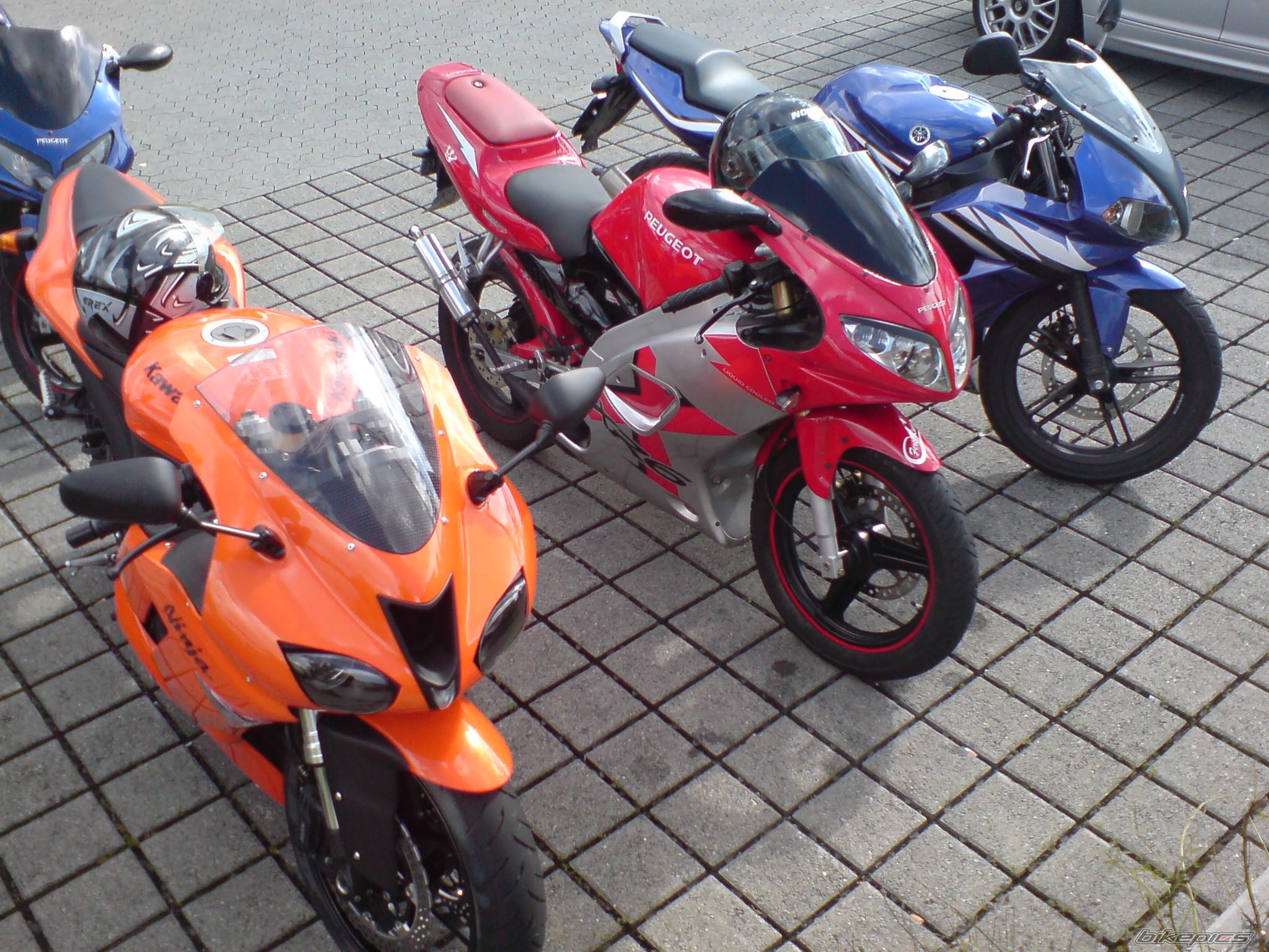 Photo 1005490