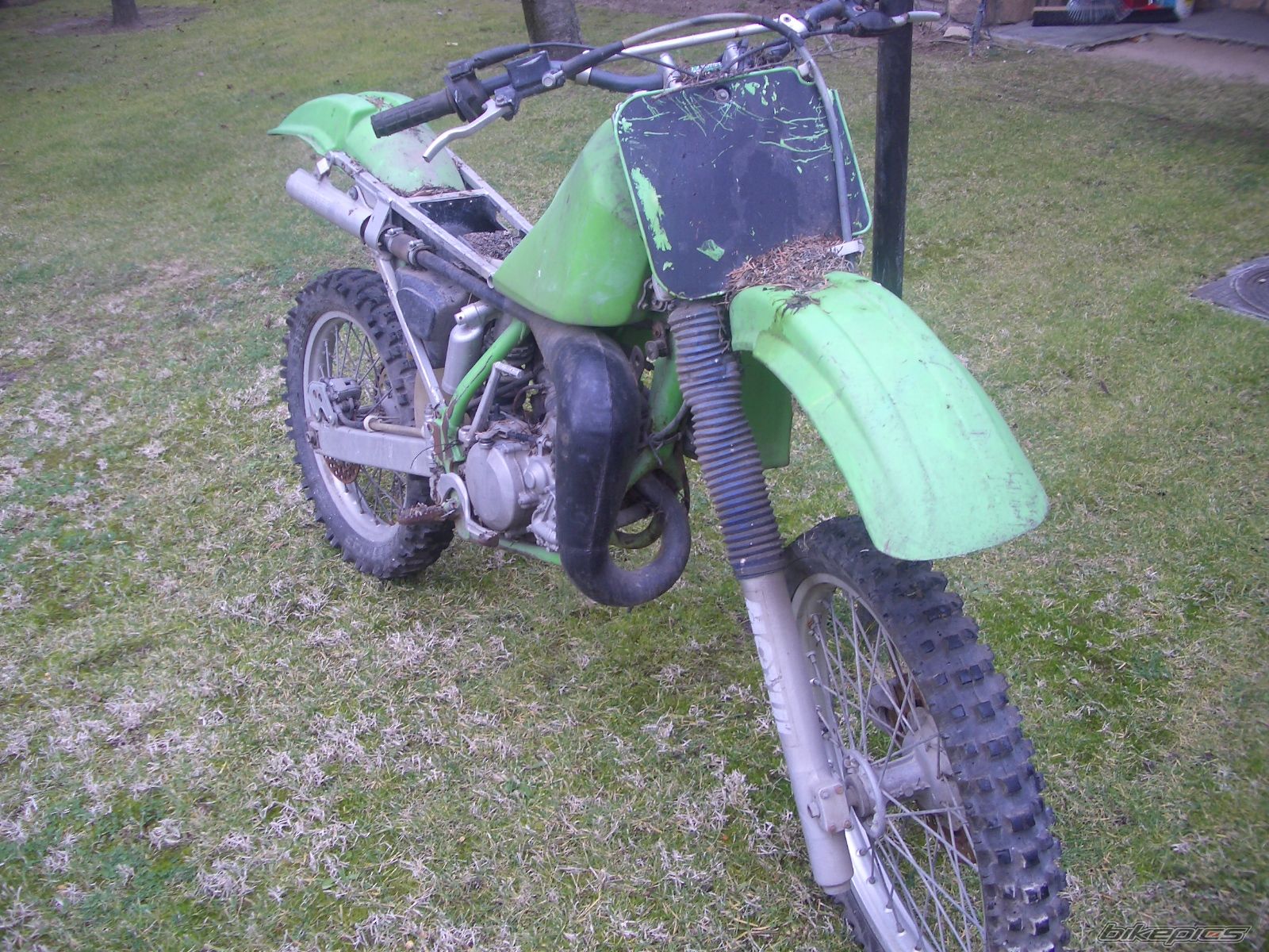 Photo 1005495