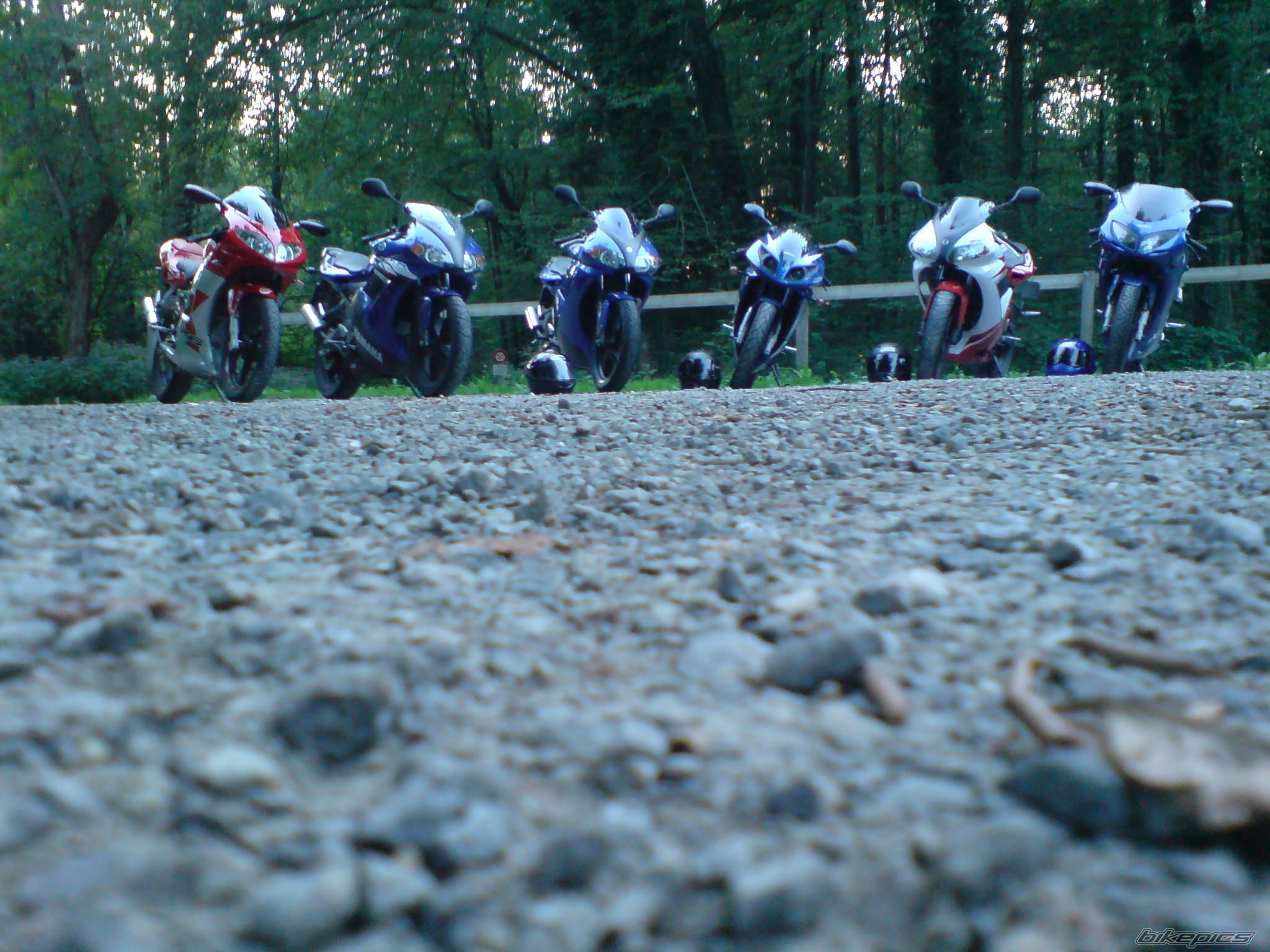 Photo 1005499