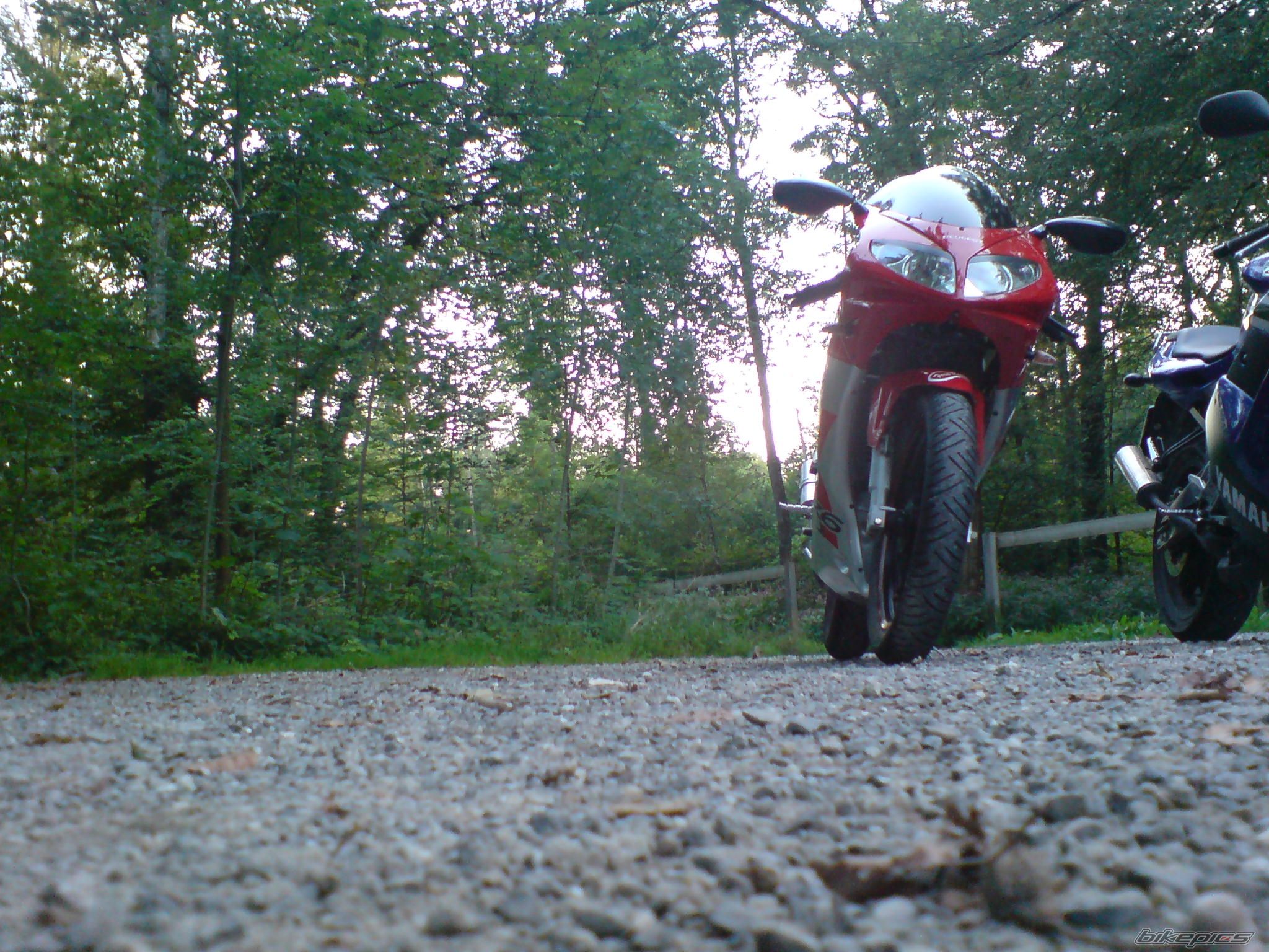 Photo 1005501
