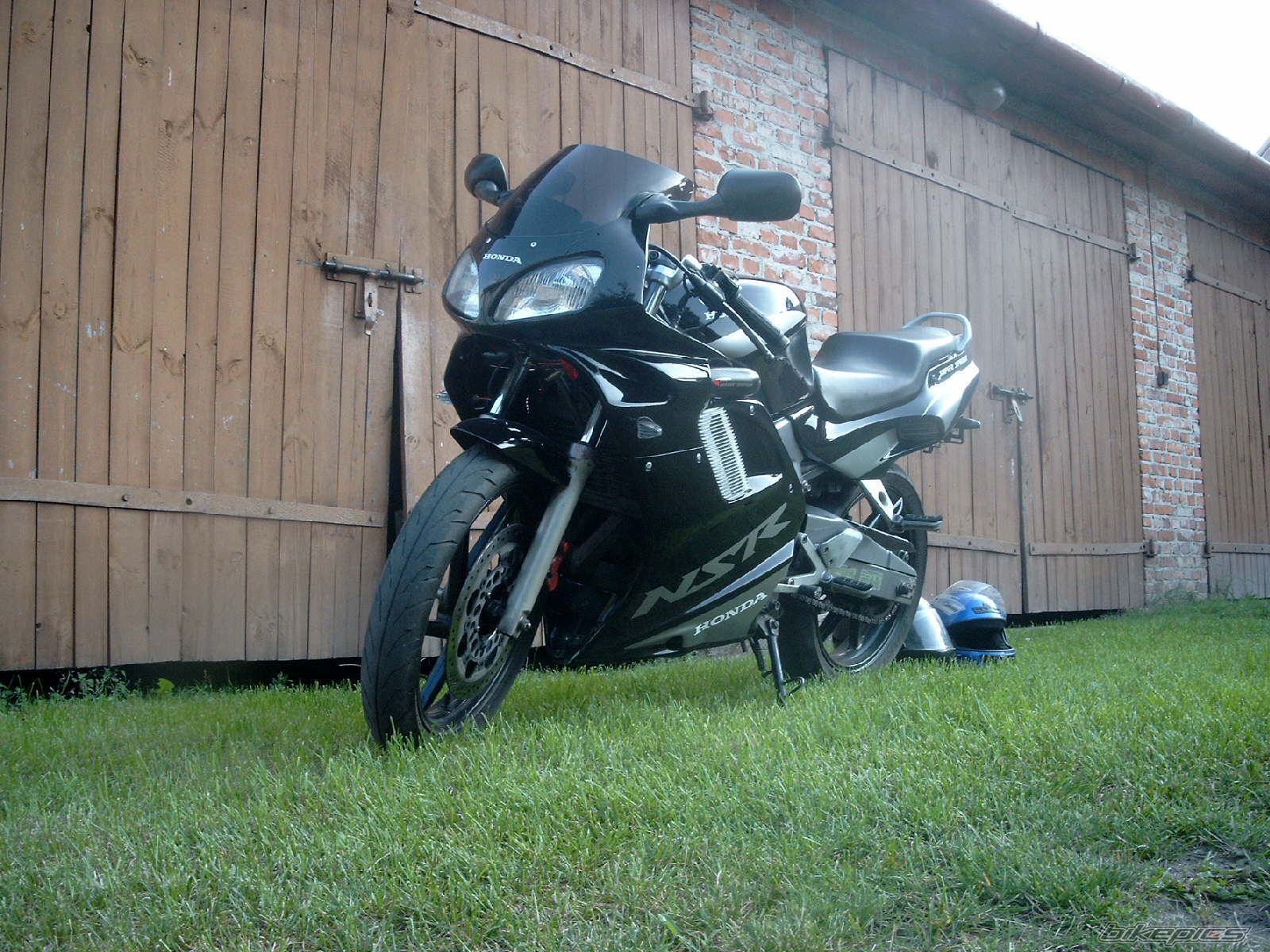 Photo 1005539