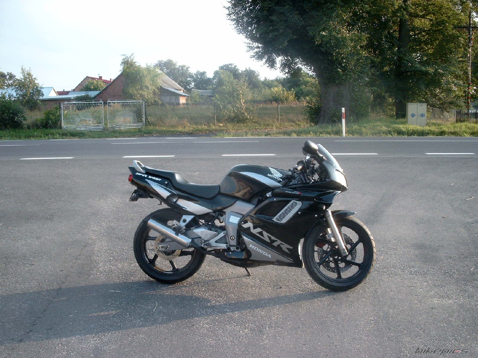 Photo 1005541