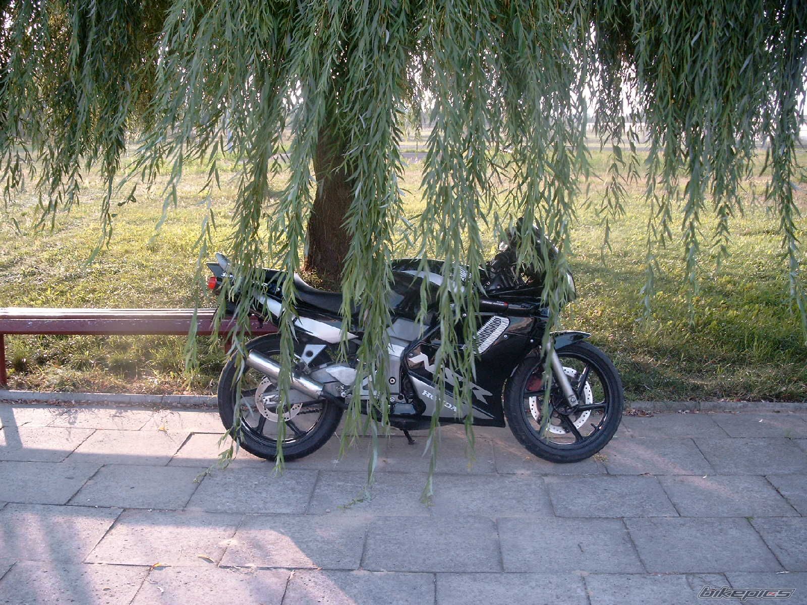Photo 1005545