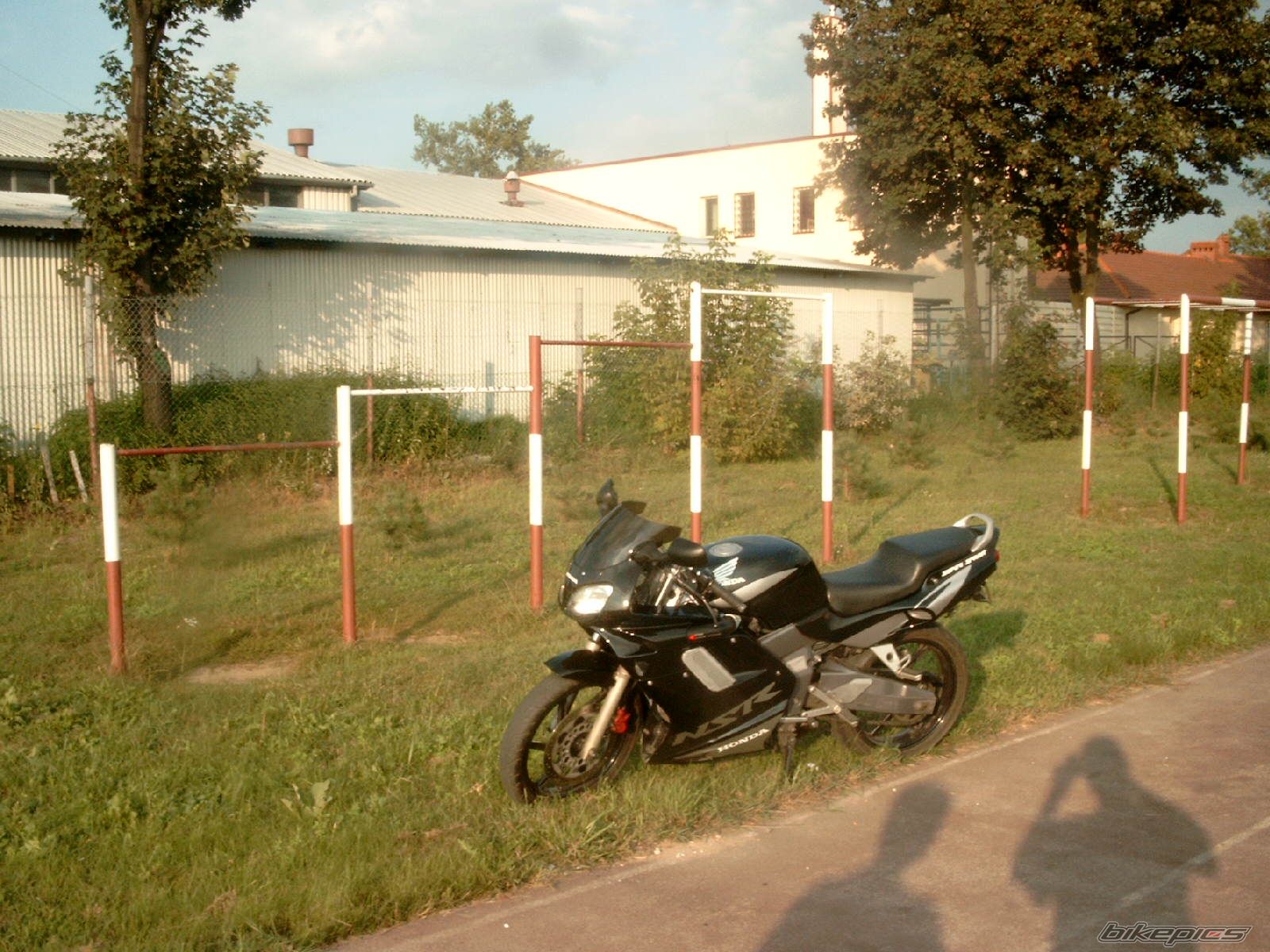 Photo 1005548