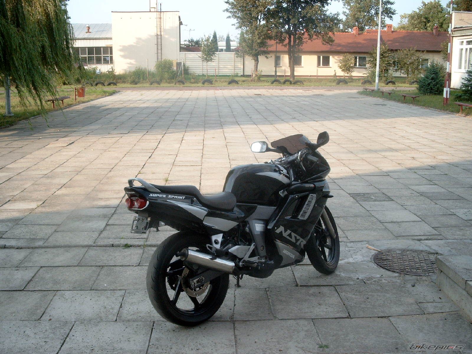 Photo 1005550
