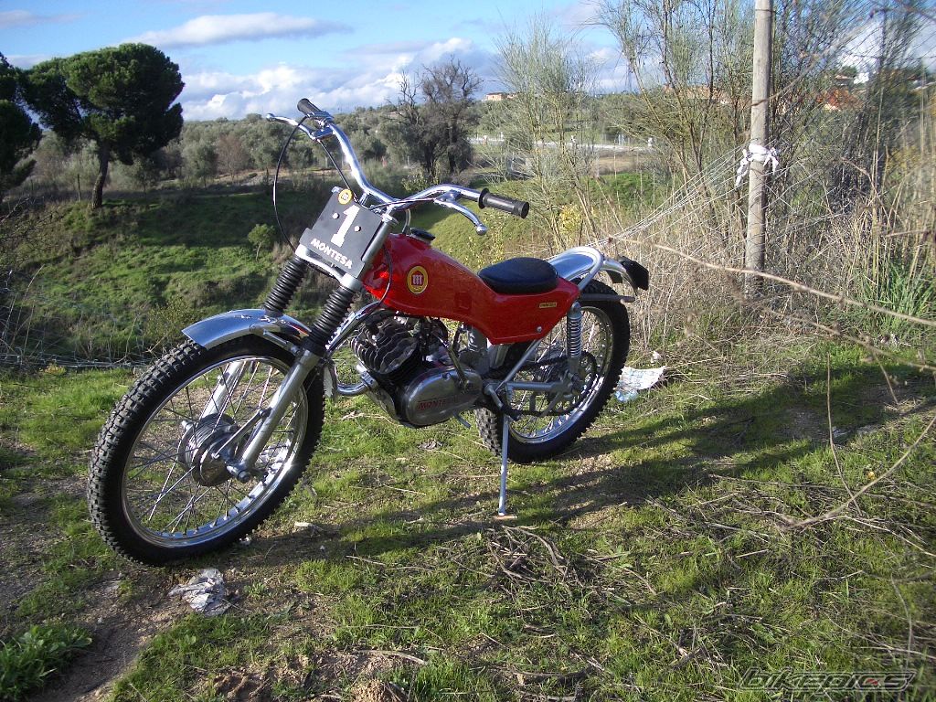 Photo 1005553