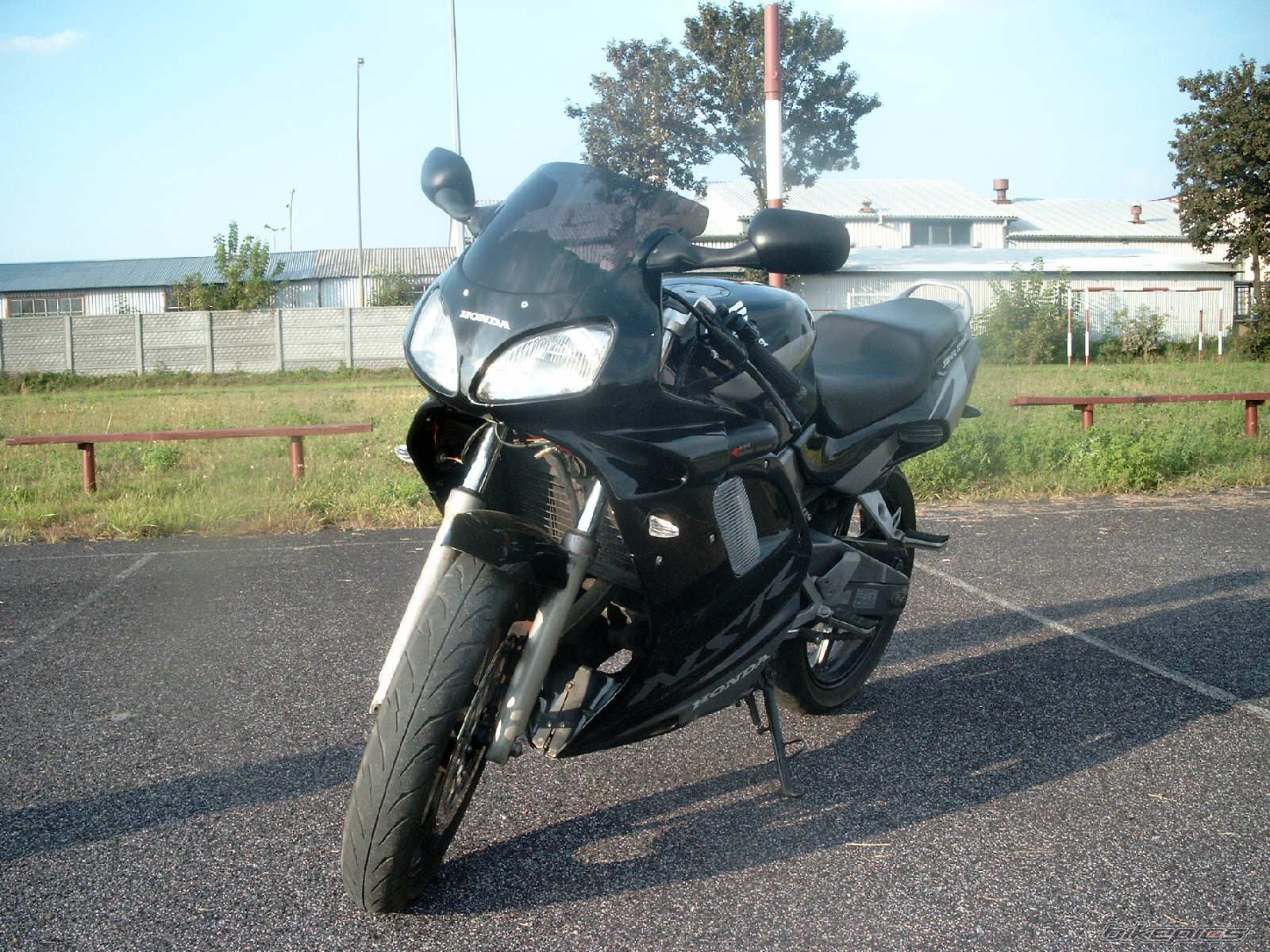 Photo 1005555