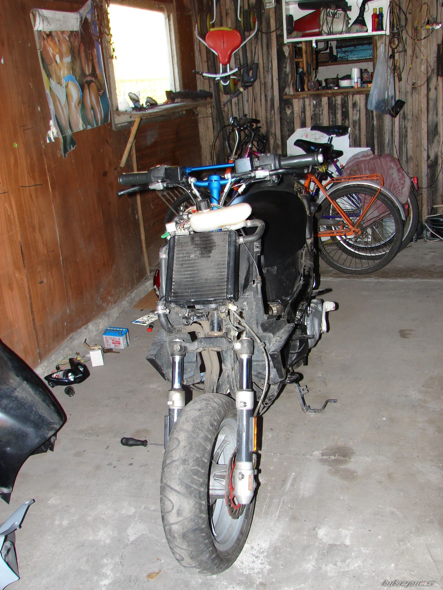 Photo 1005558