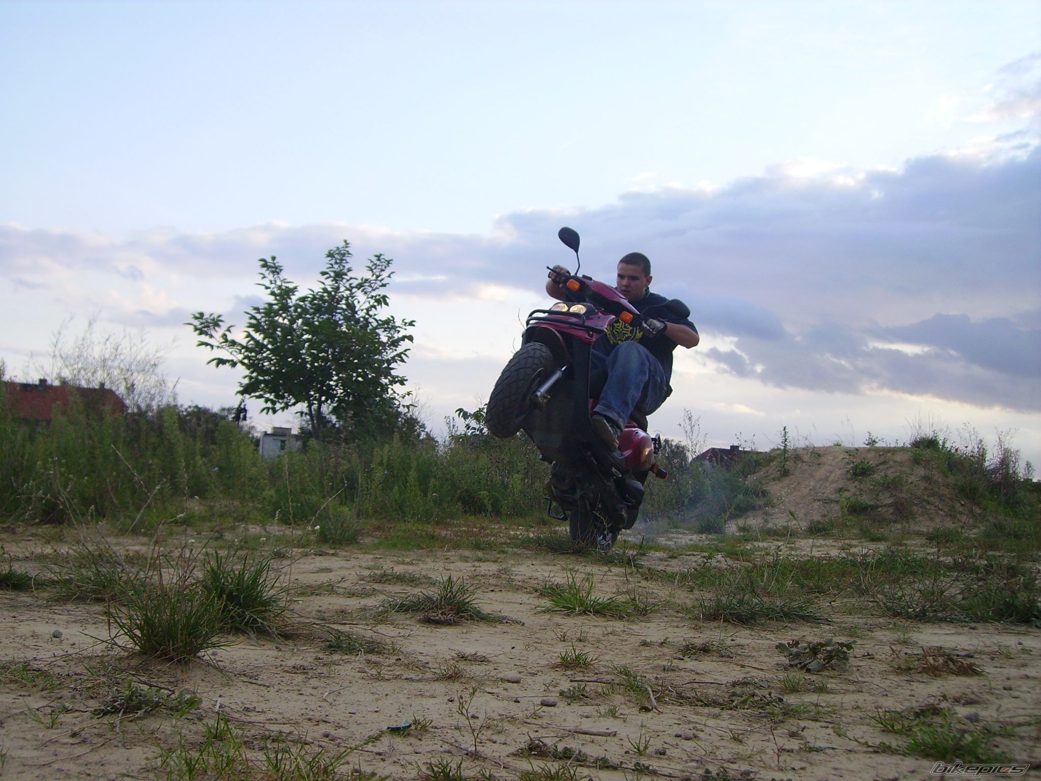 Photo 1005561