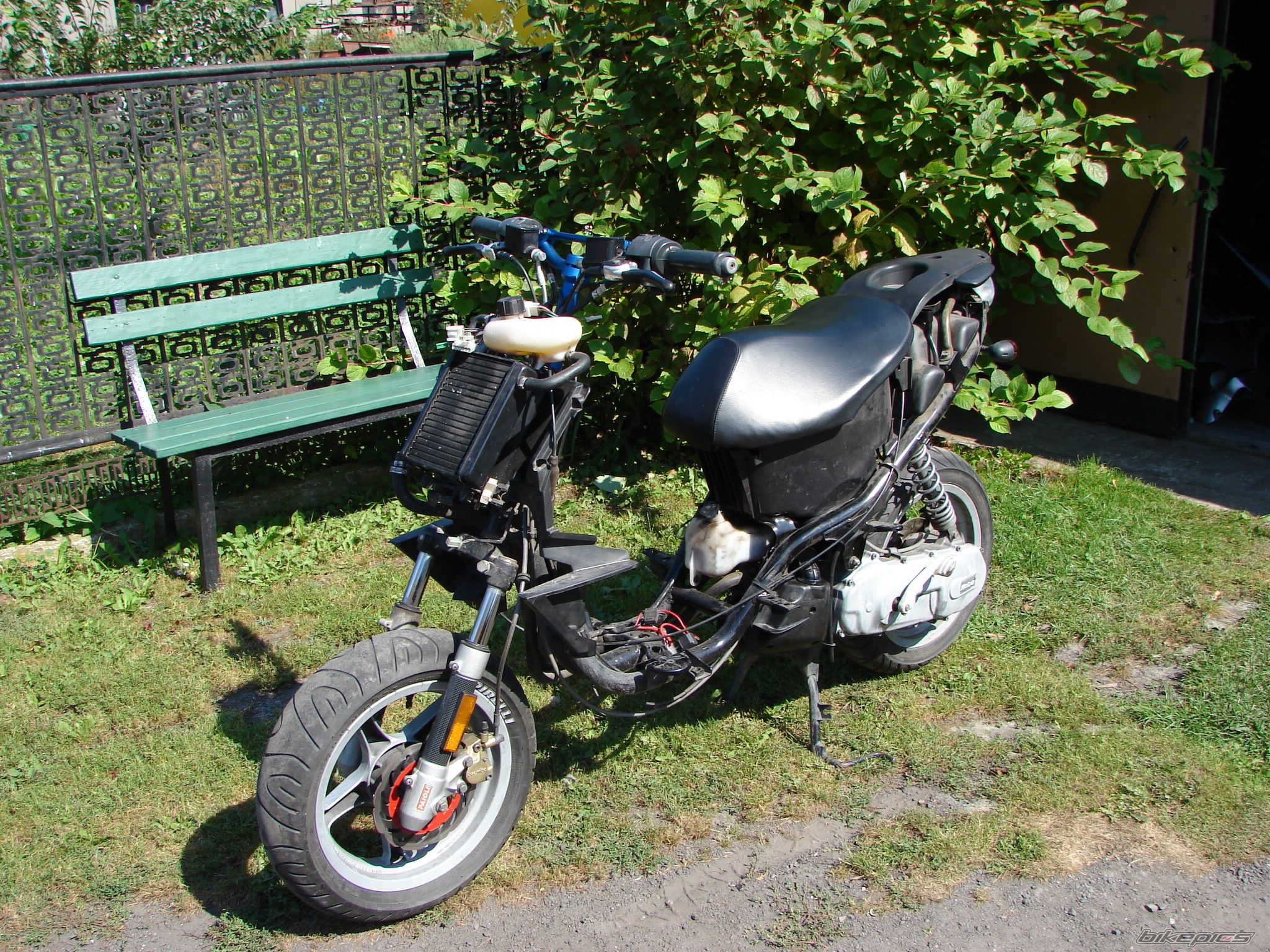 Photo 1005570