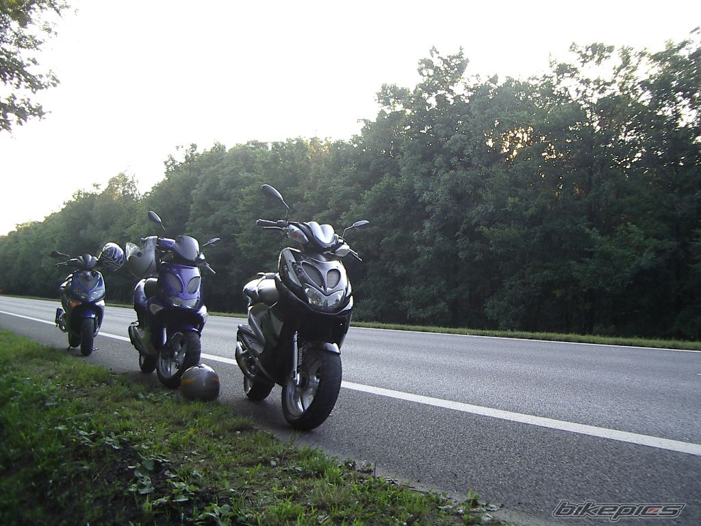 Photo 1005574