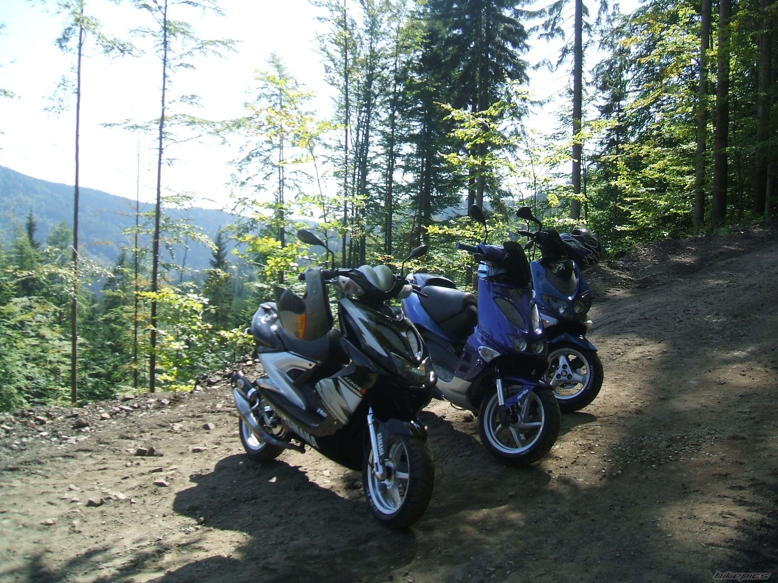 Photo 1005582