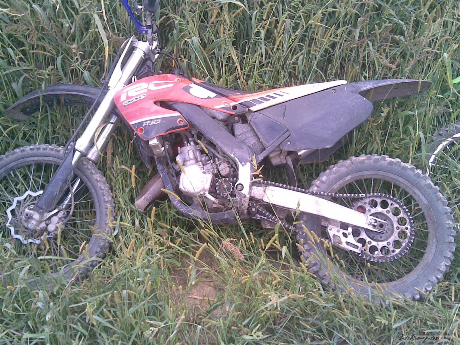Photo 1005593
