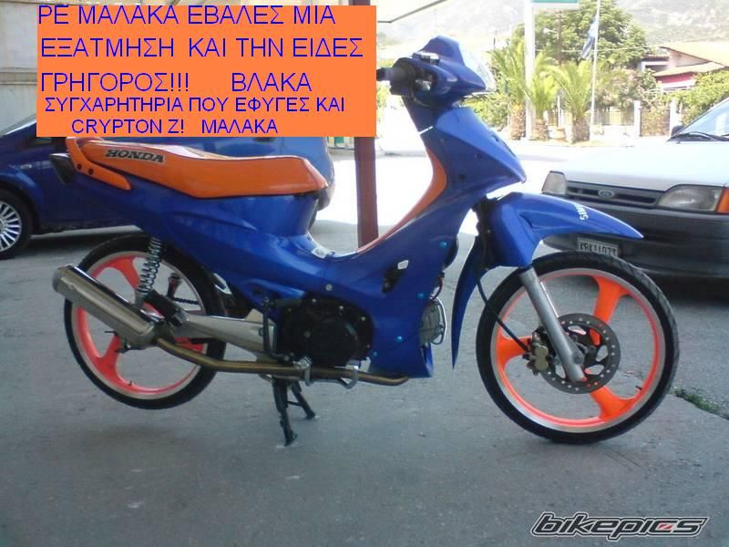 Photo 1005597