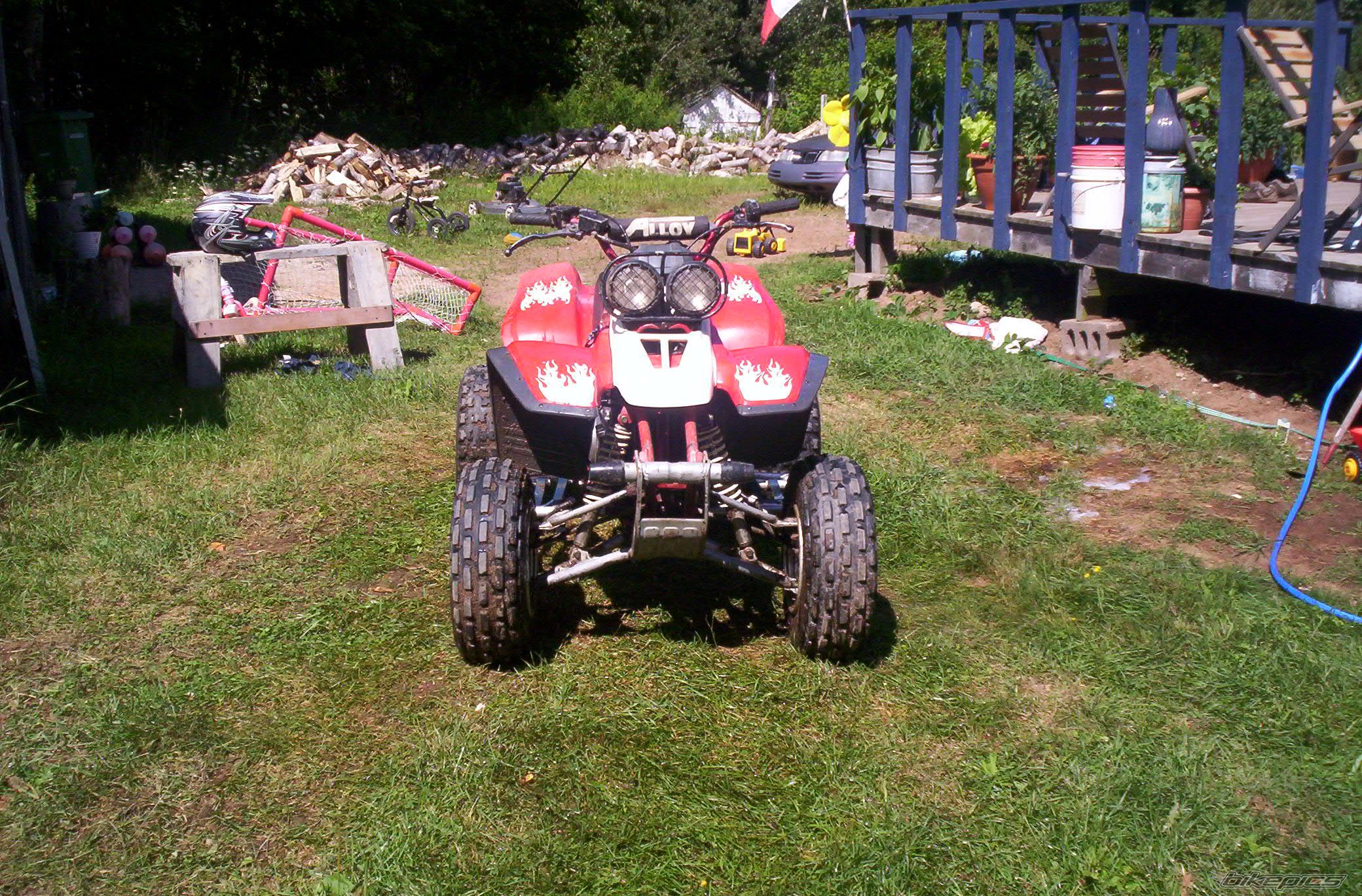 Photo 1005621