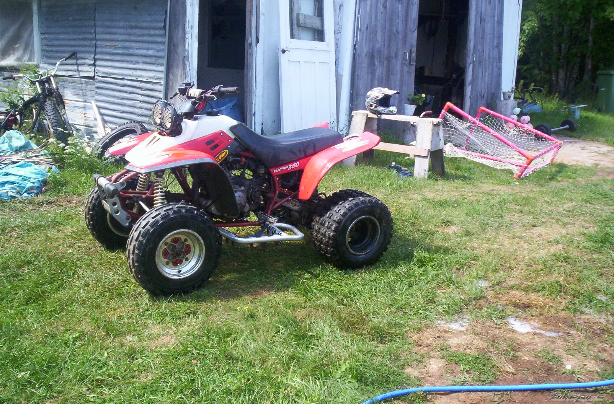 Photo 1005623
