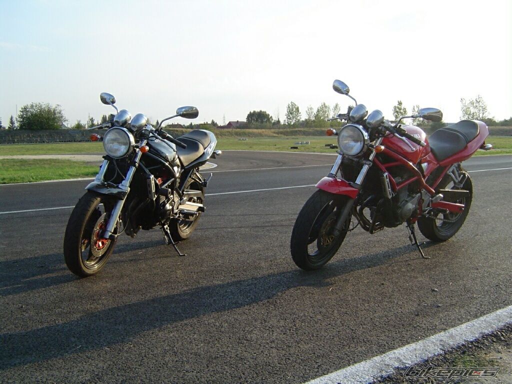 Photo 1005638