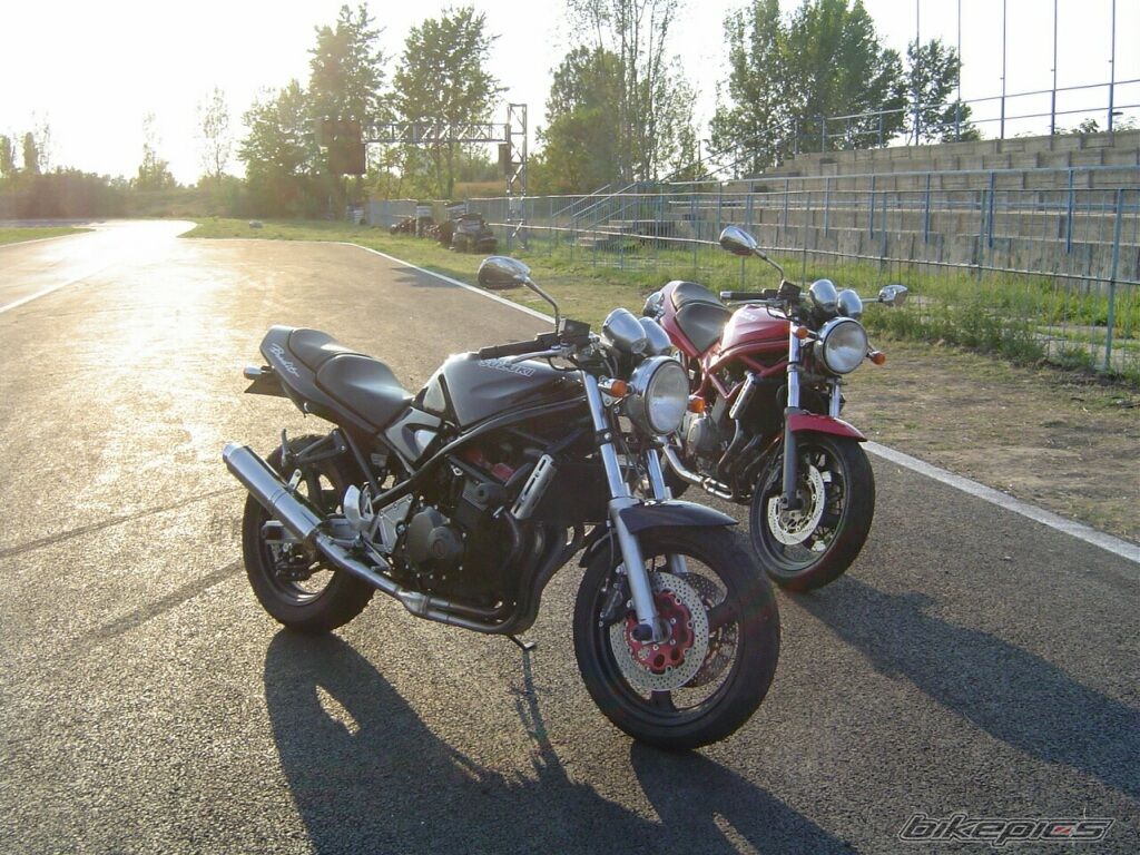Photo 1005639
