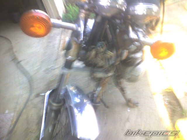Photo 1005663