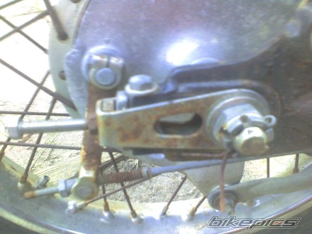 Photo 1005664