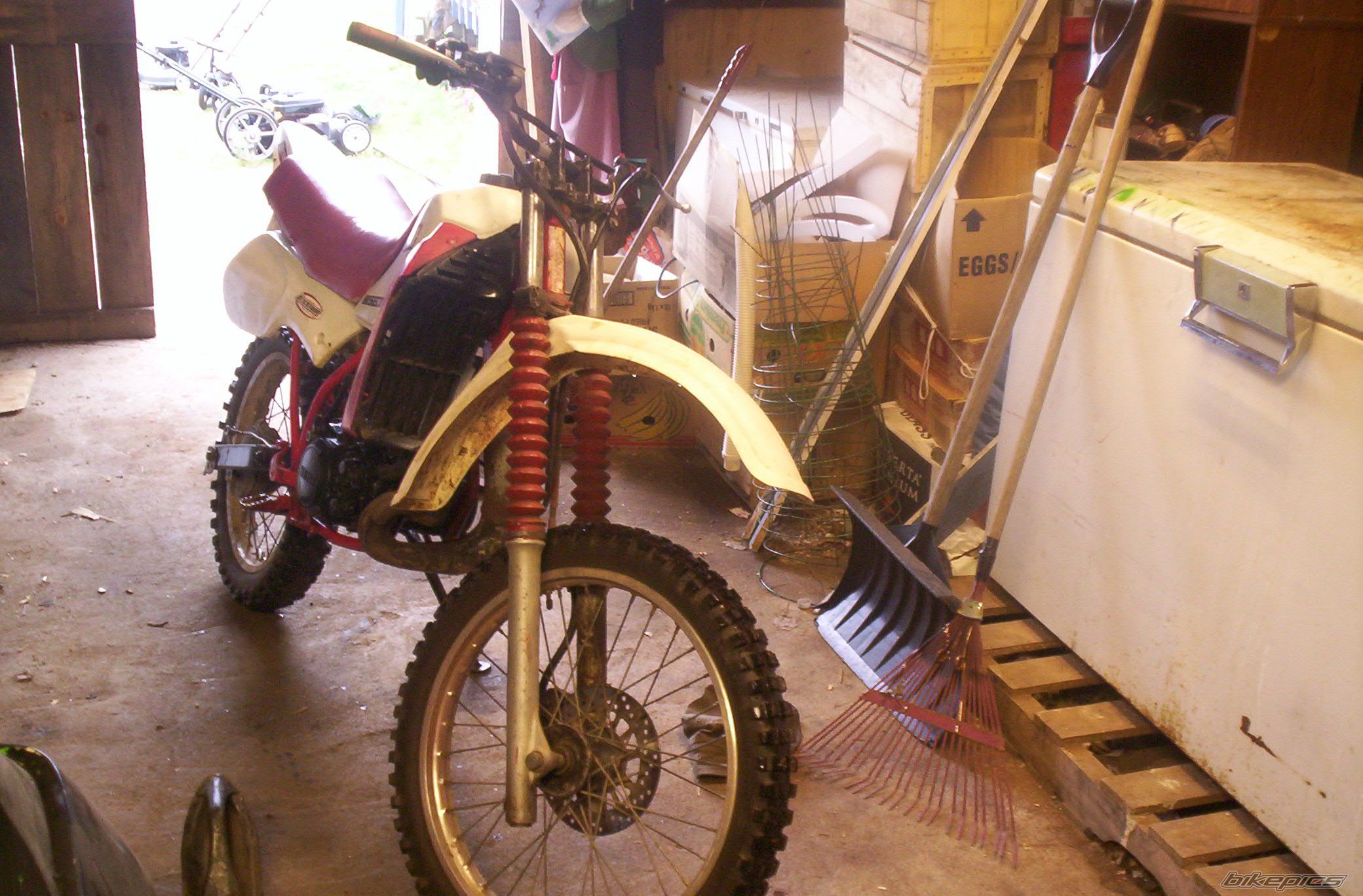 Photo 1005722