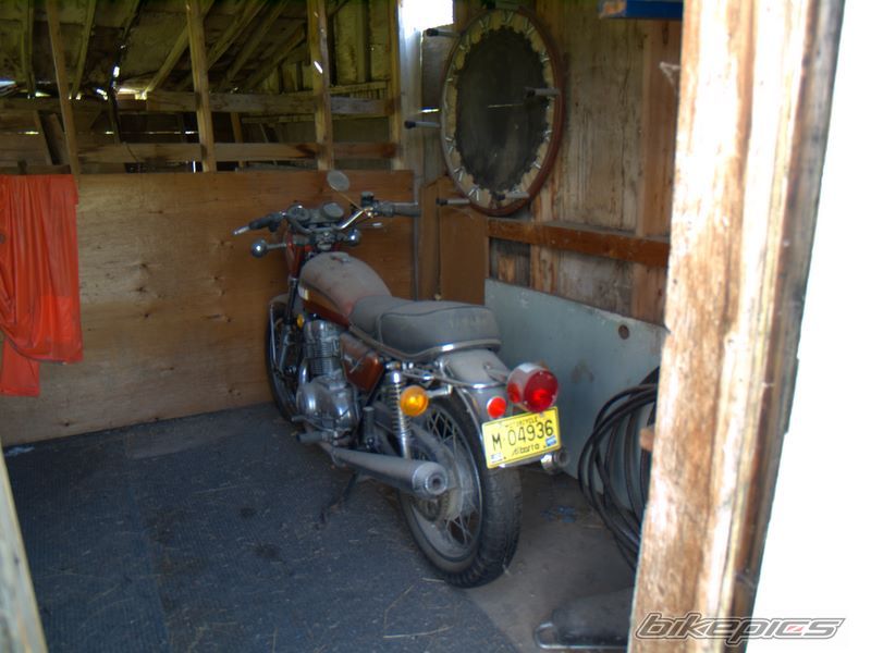 Bike Photo 1005741