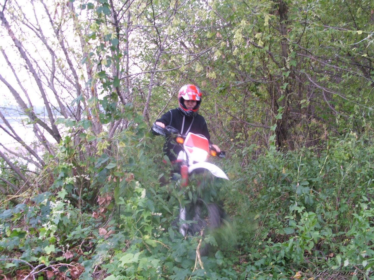 Photo 1005761