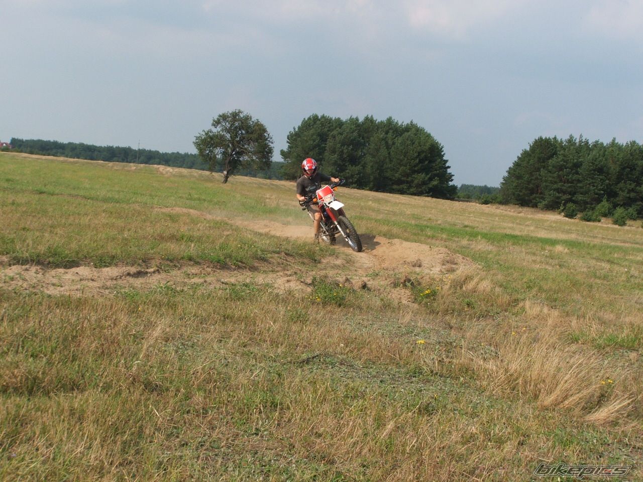Bike Photo 1005769