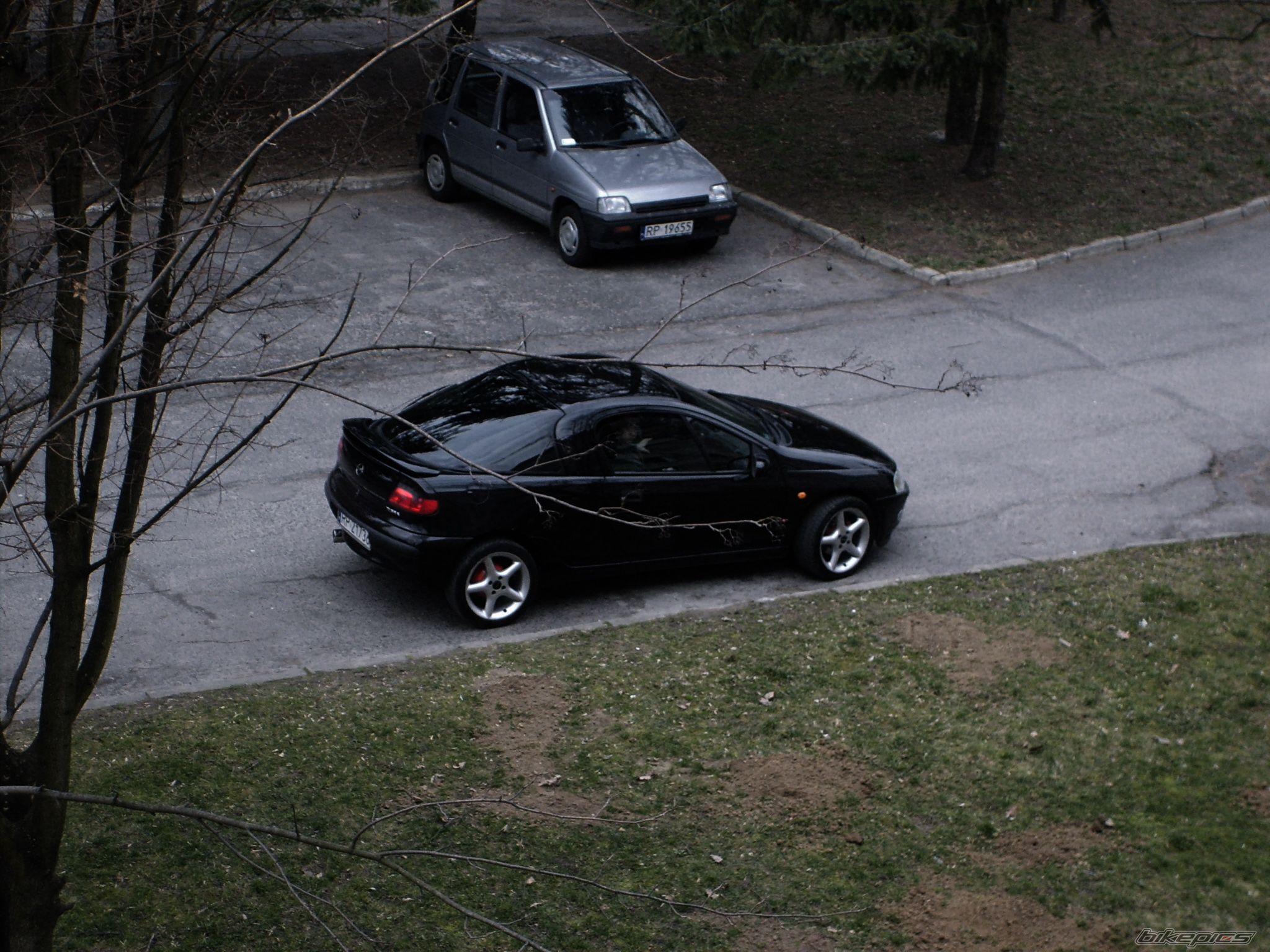 Photo 1005815
