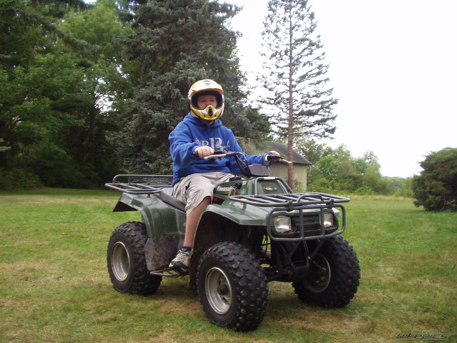 Photo 100585