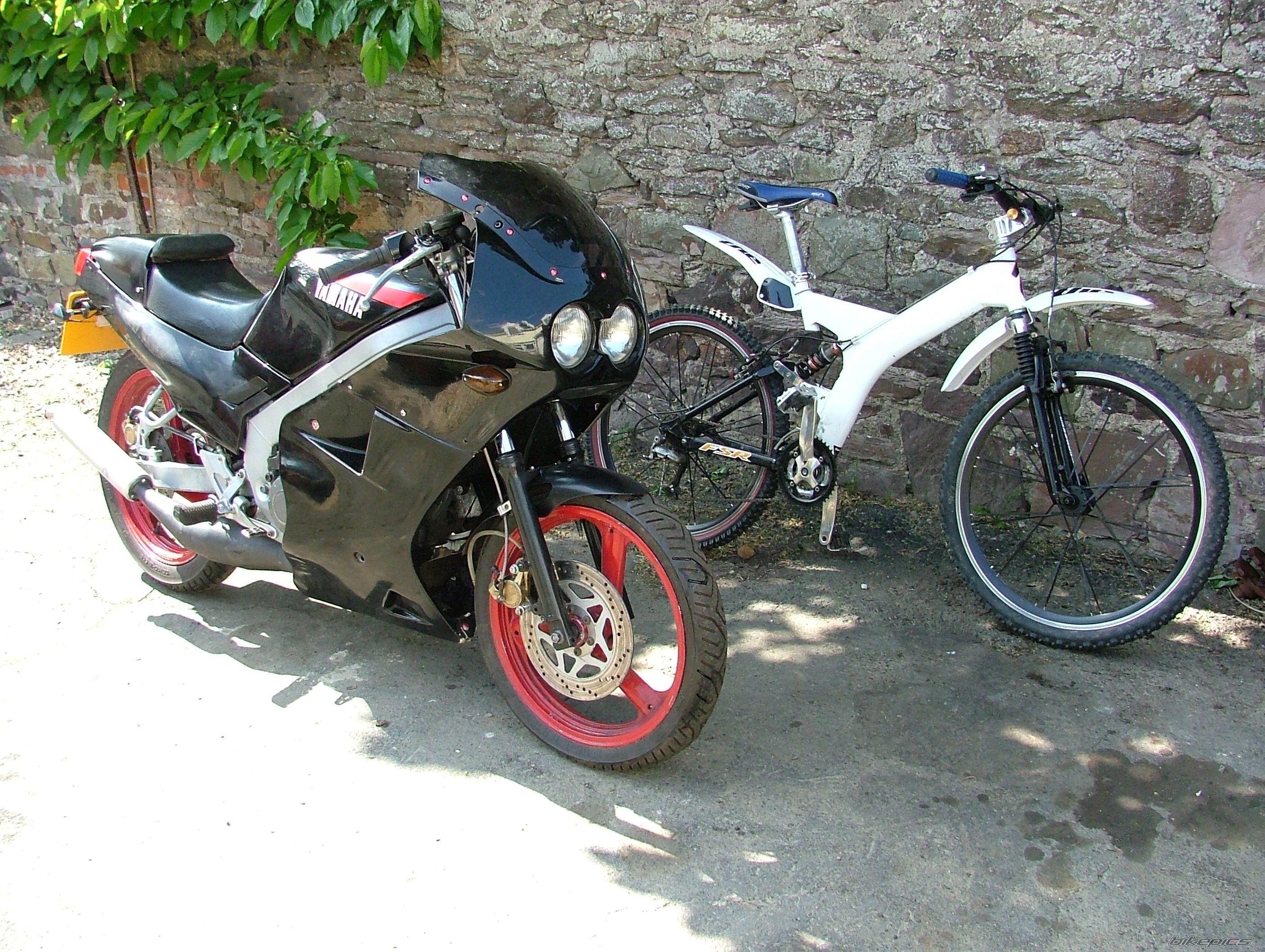 Photo 1005902
